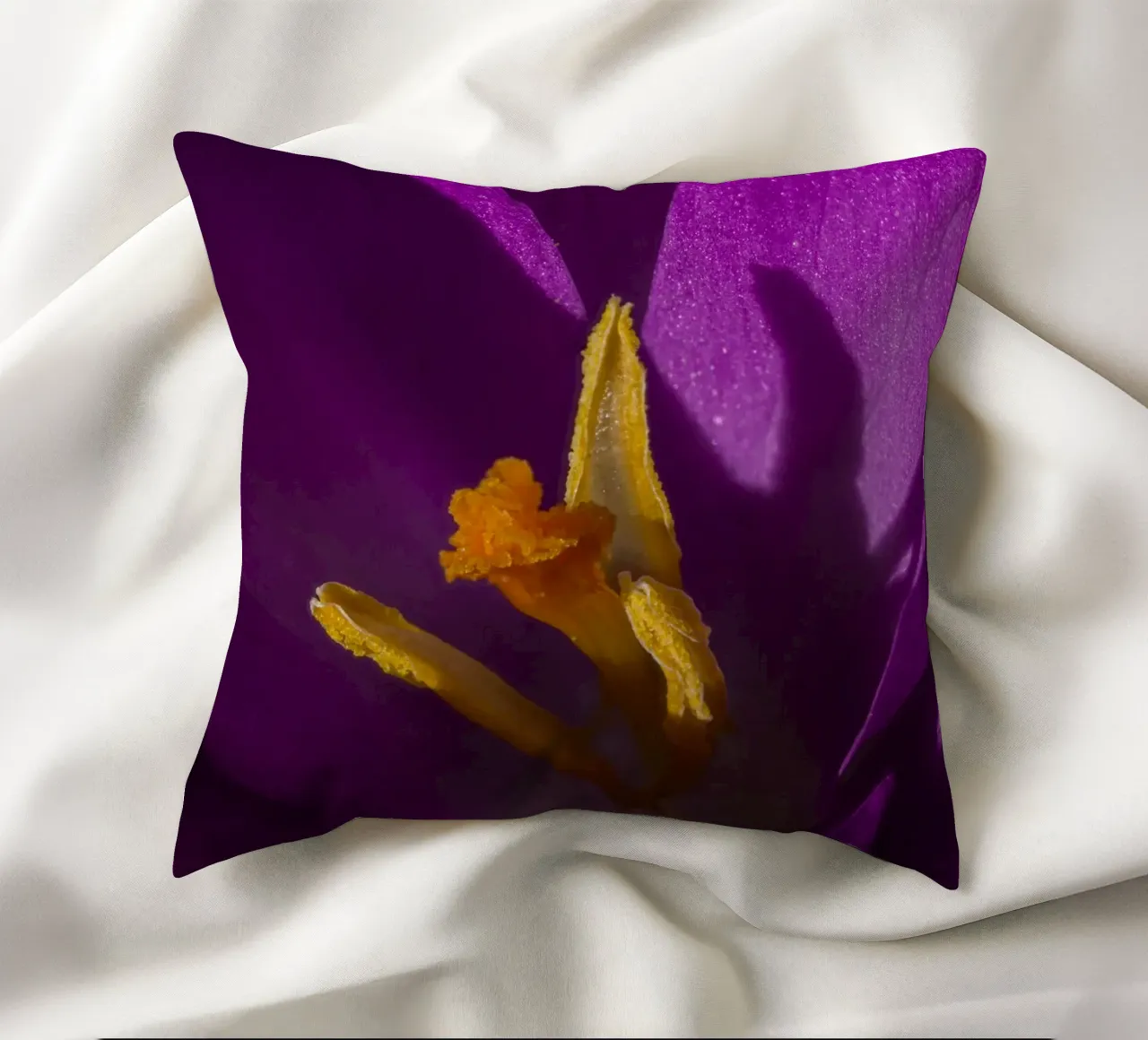 Croco viola in primavera cuscino da Marcus Beckert | Fotografie