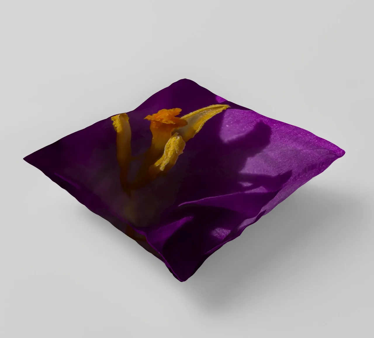 Croco viola in primavera cuscino da Marcus Beckert | Fotografie