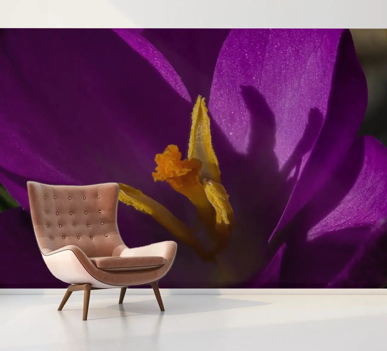 Crocus lilas au printemps papier peint photo de Marcus Beckert | Fotografie