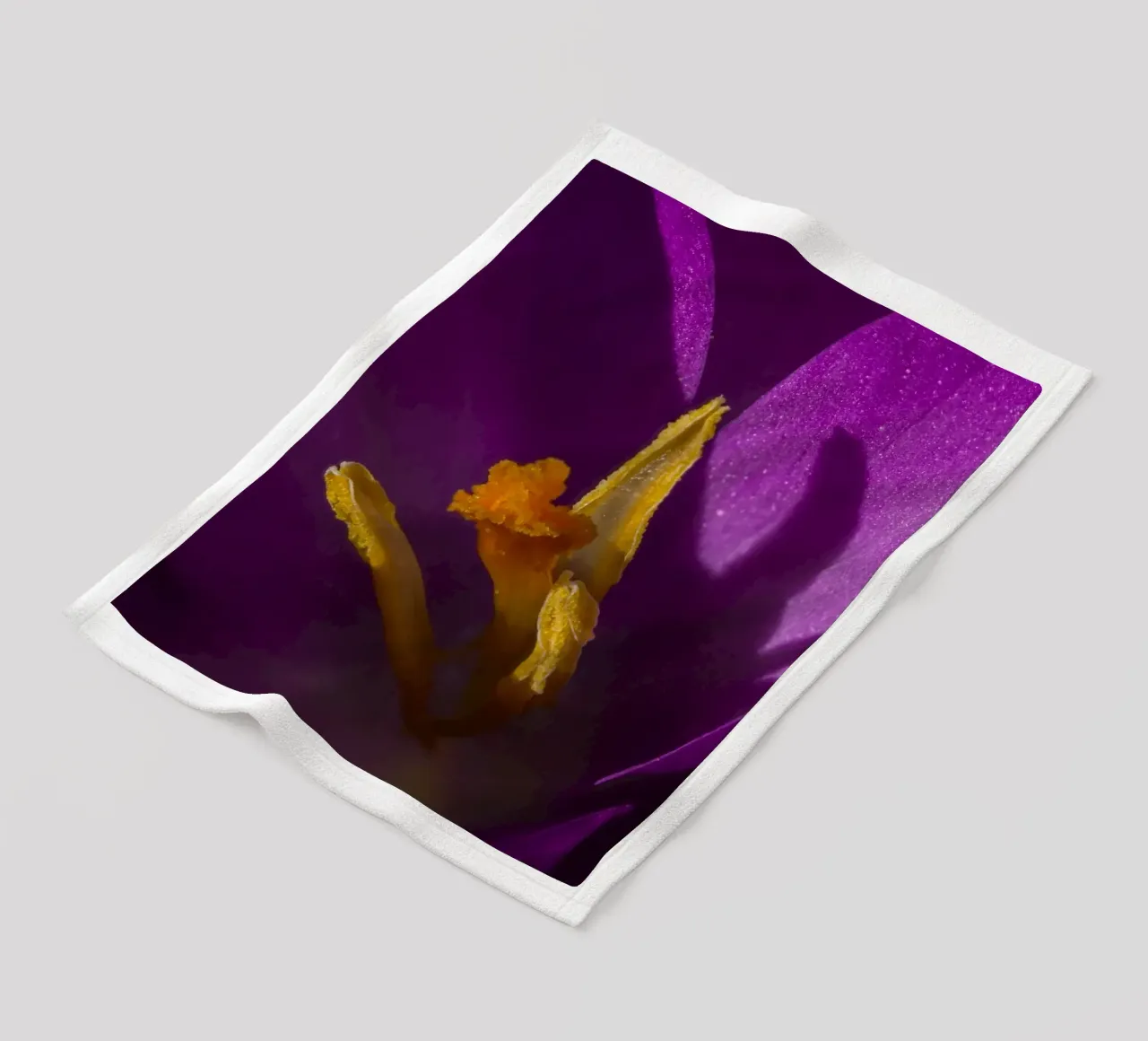 Purple crocus in spring fleece blanket by Marcus Beckert | Fotografie