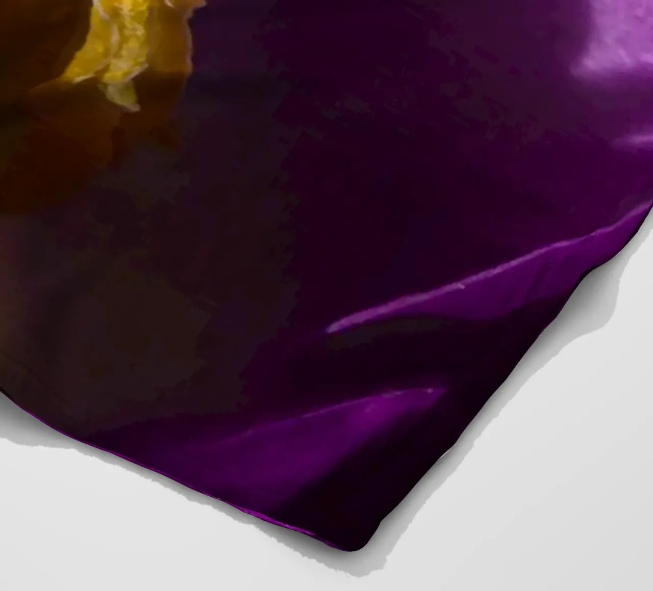 Purple crocus in spring fleece blanket by Marcus Beckert | Fotografie