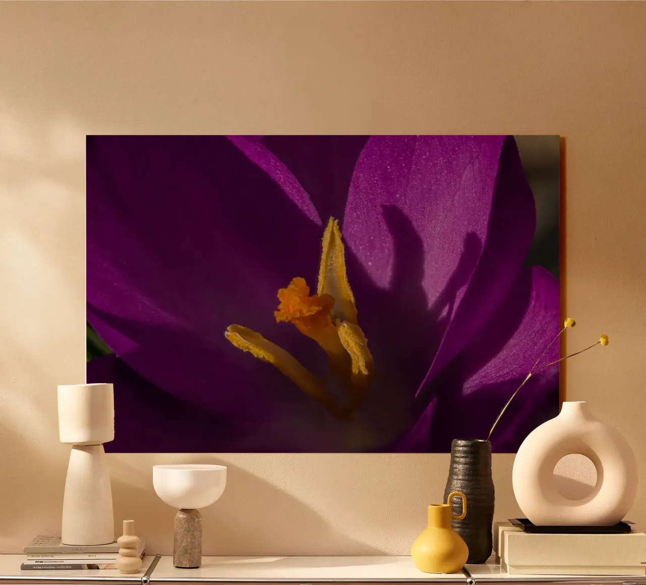 Lila Krokus im Frühling Acryl-Glas von Marcus Beckert | Fotografie
