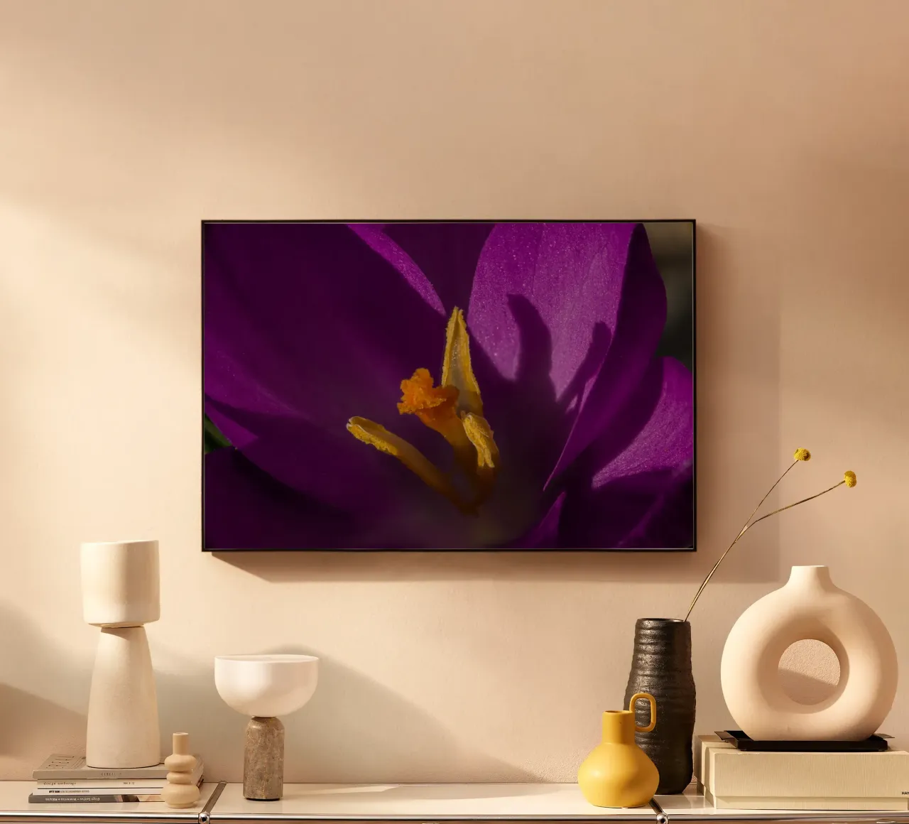 Purple crocus in spring forex plate by Marcus Beckert | Fotografie