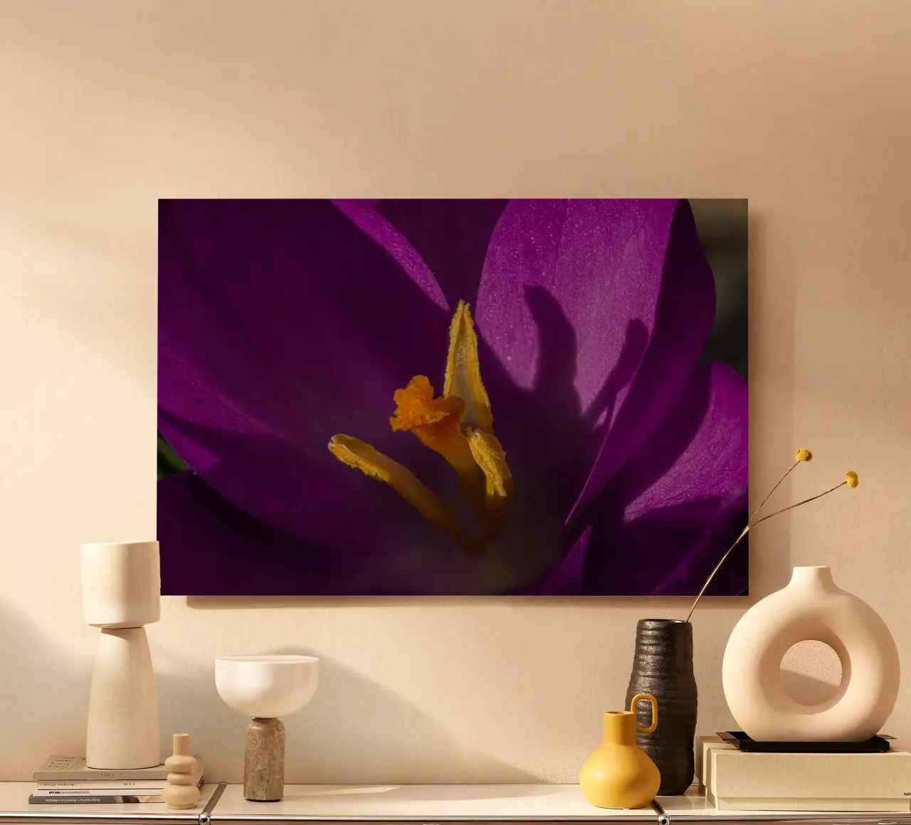 Purple crocus in spring forex plate by Marcus Beckert | Fotografie