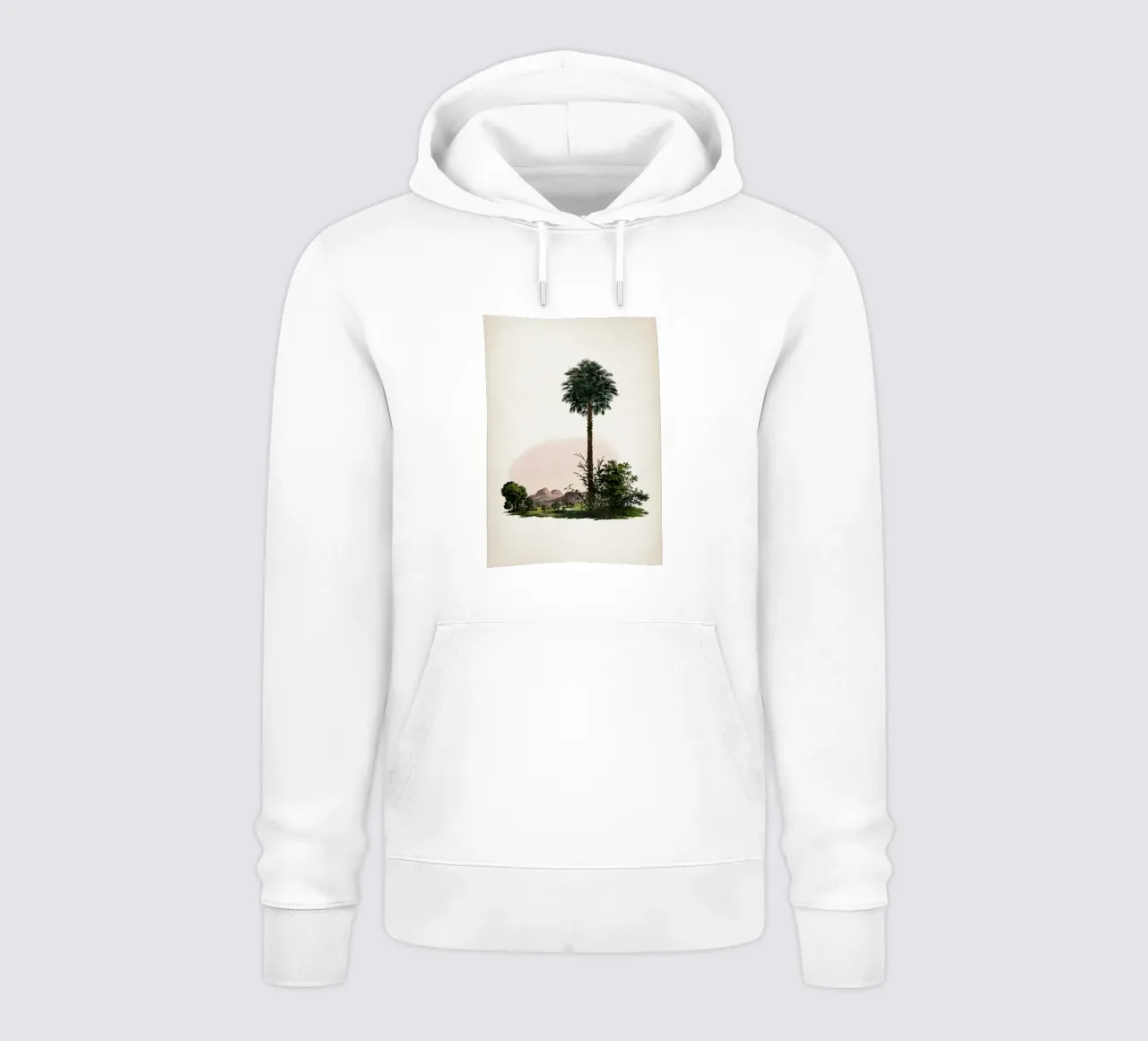 Vintage Martius 1 Corypha Cerifera felpa con cappuccio da Vintage Print Collection
