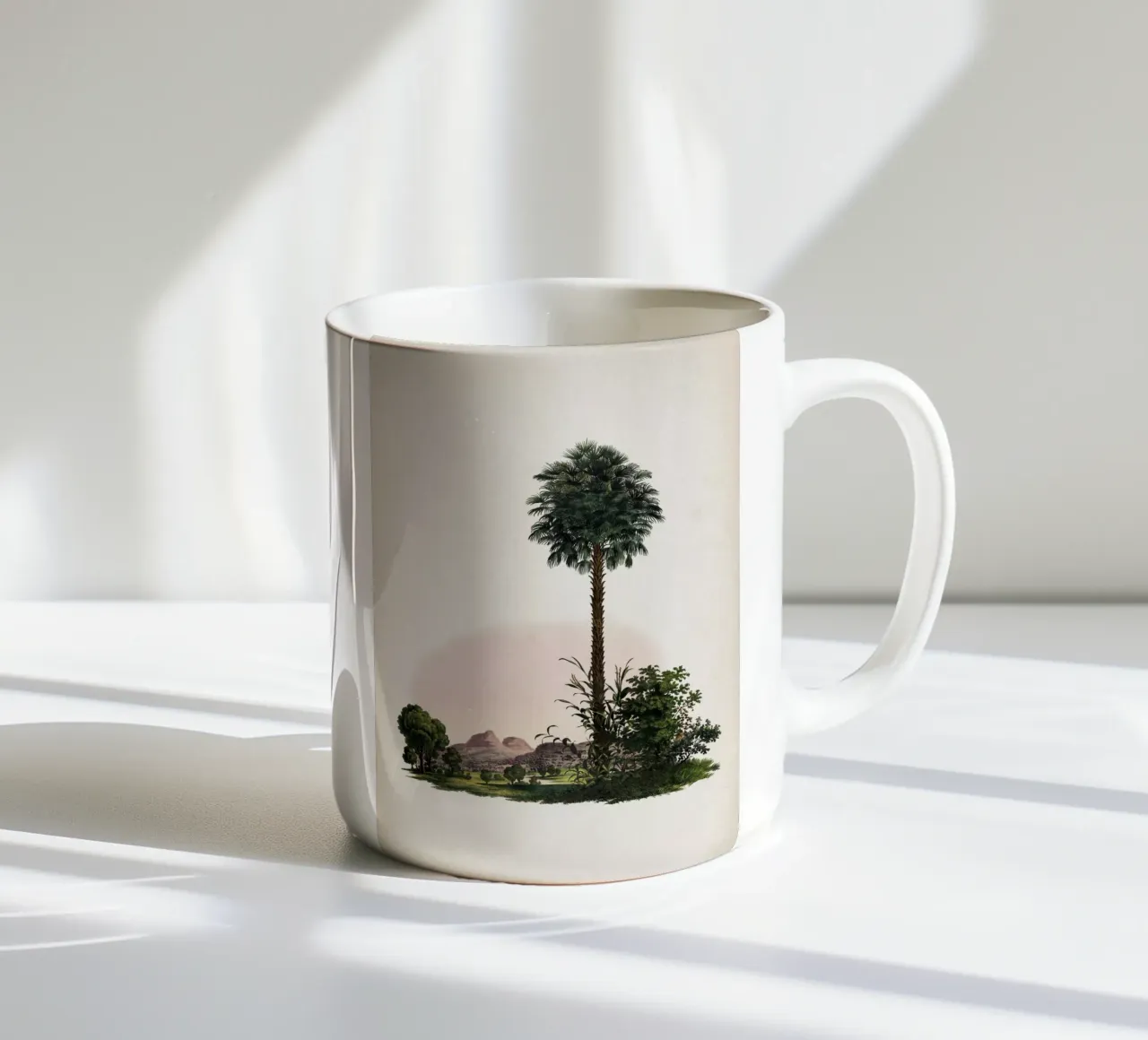 Vintage Martius 1 Corypha Cerifera tazza in ceramica da Vintage Print Collection