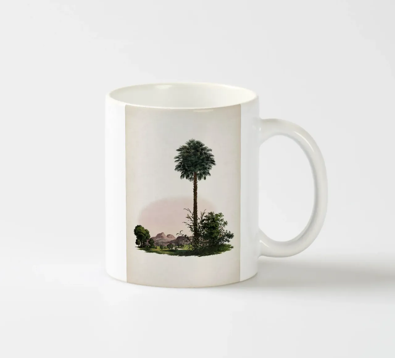 Vintage Martius 1 Corypha Cerifera tazza in ceramica da Vintage Print Collection