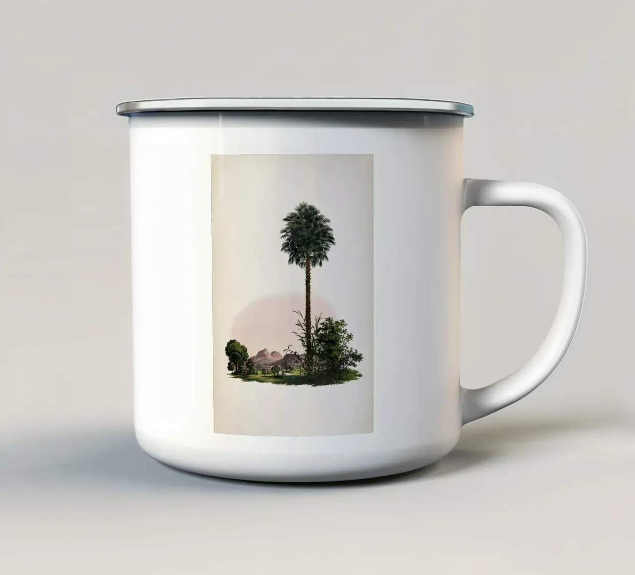 Vintage Martius 1 Corypha Cerifera tazza in smalto da Vintage Print Collection