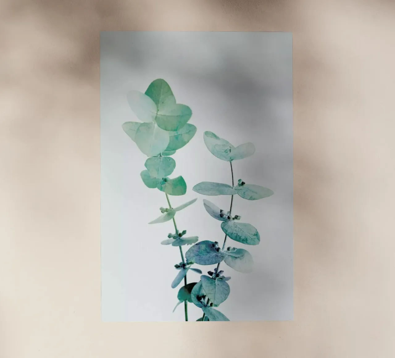 Print 18 pellicola backlit da Lila & Lola