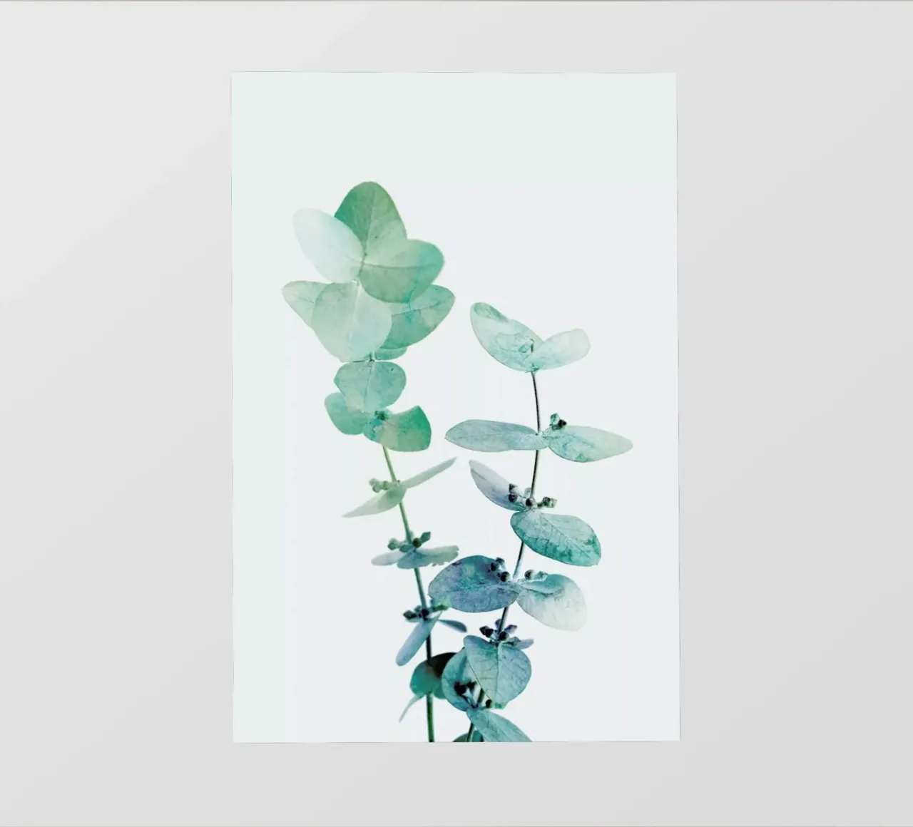 Print 18 pellicola backlit da Lila & Lola