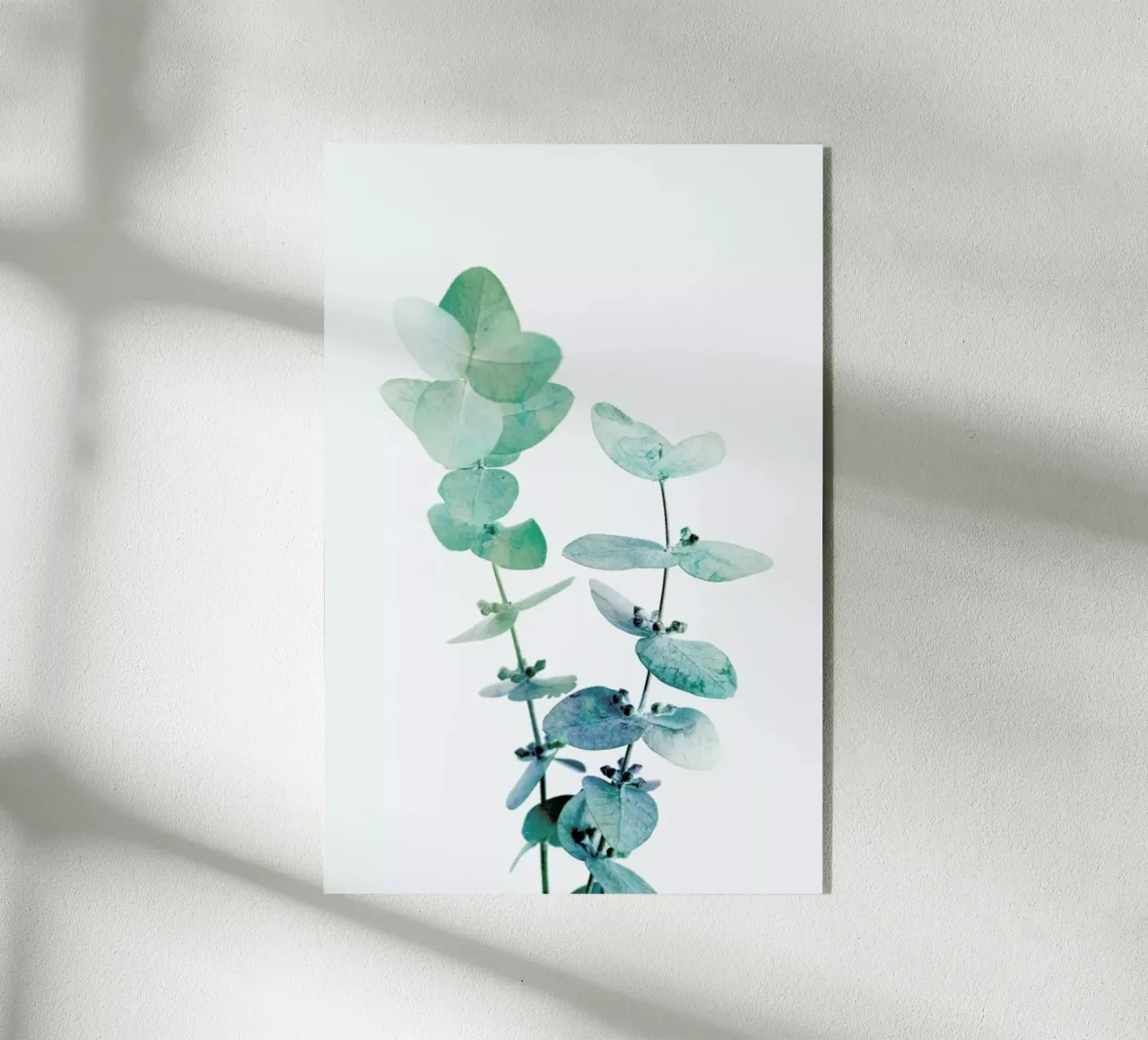 Print 18 plexiglass da Lila & Lola