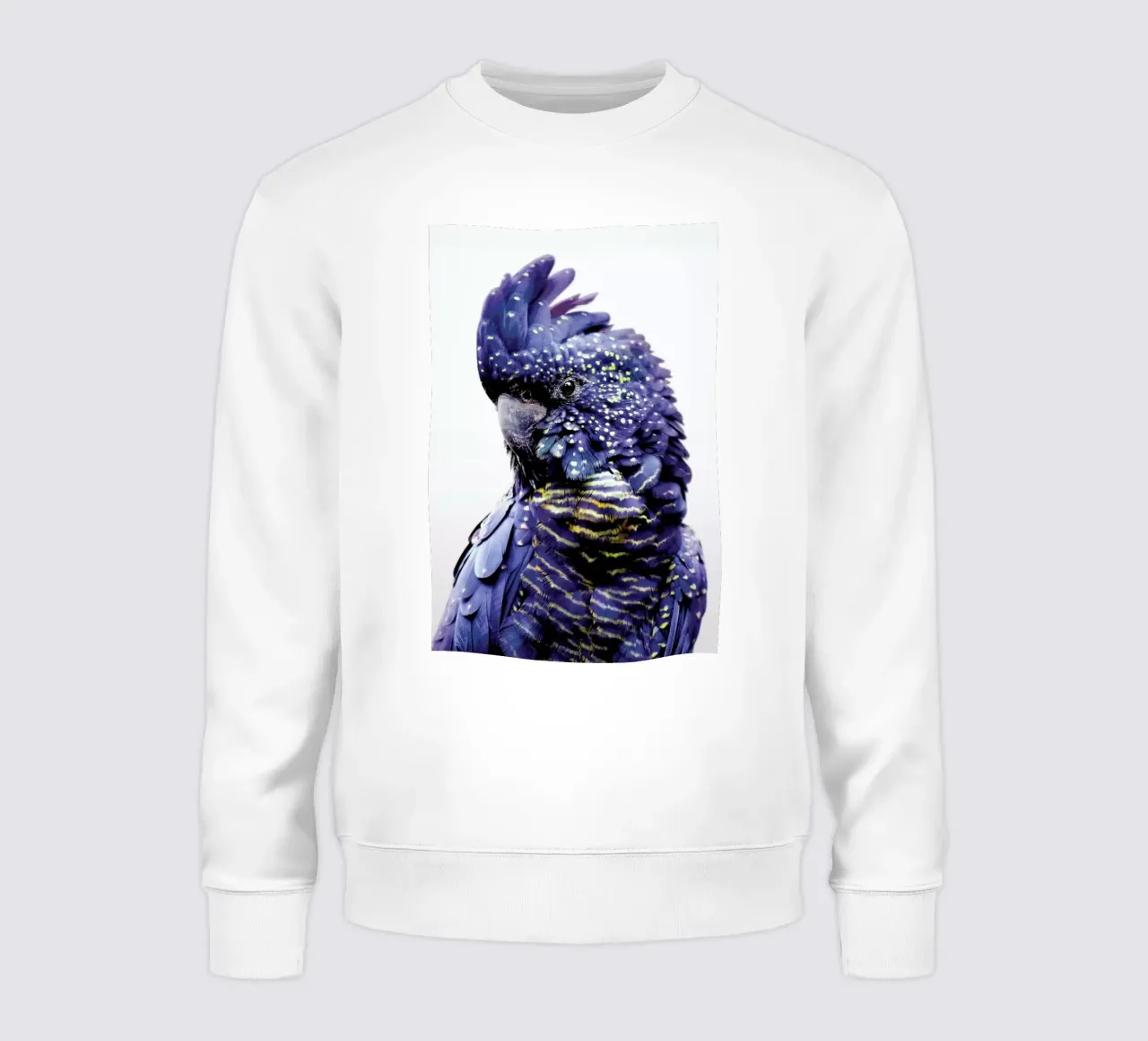 Print 451 felpa da Lila x Lola