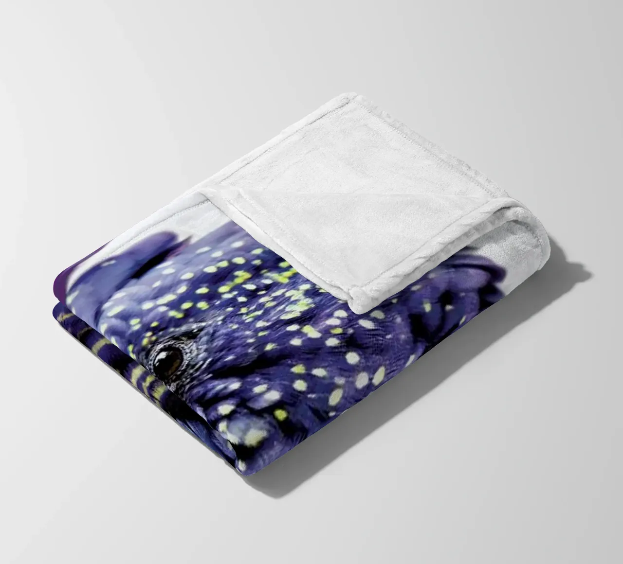 Print 451 coperta in pile da Lila x Lola