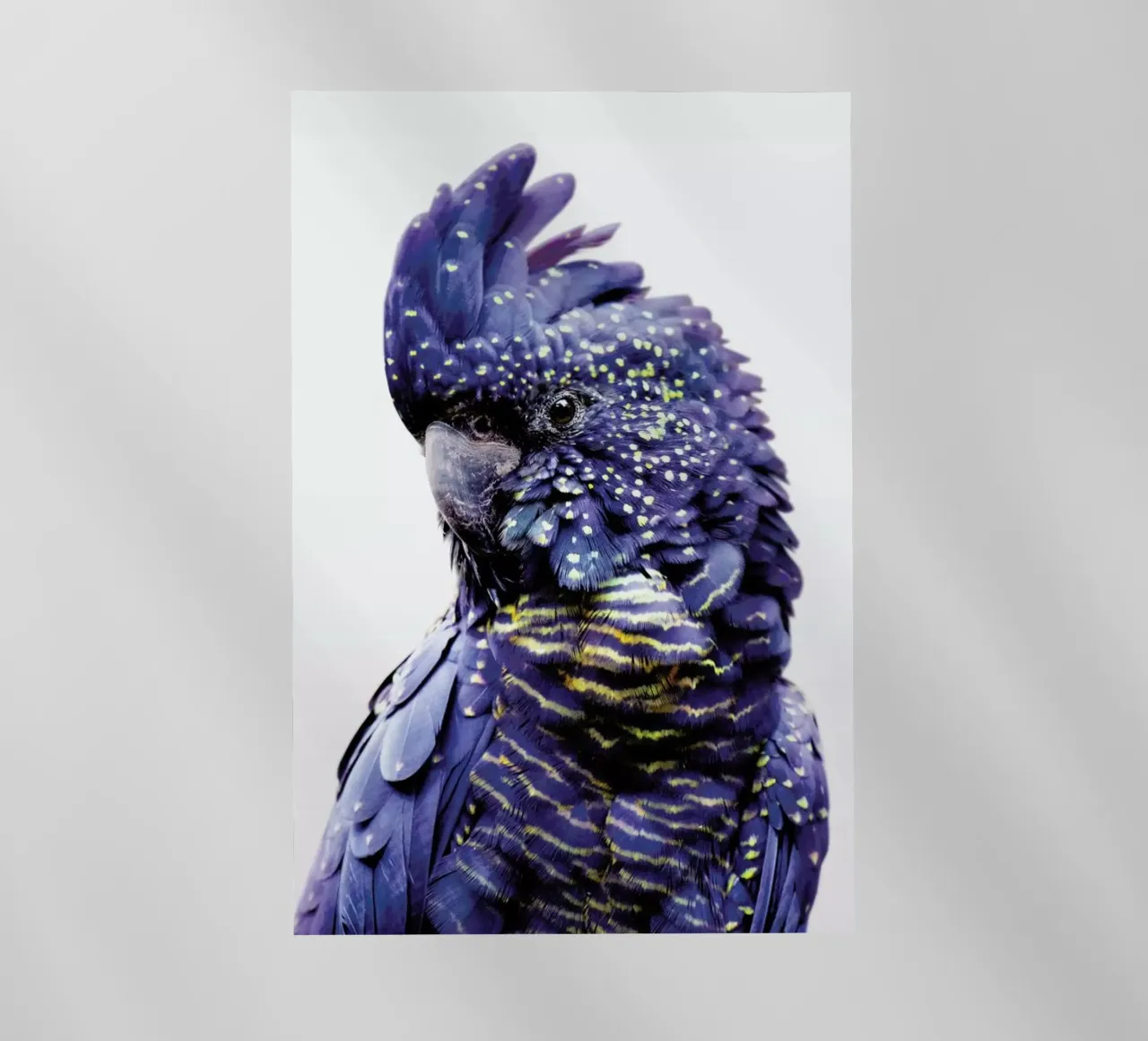 Print 451 pellicola backlit da Lila & Lola