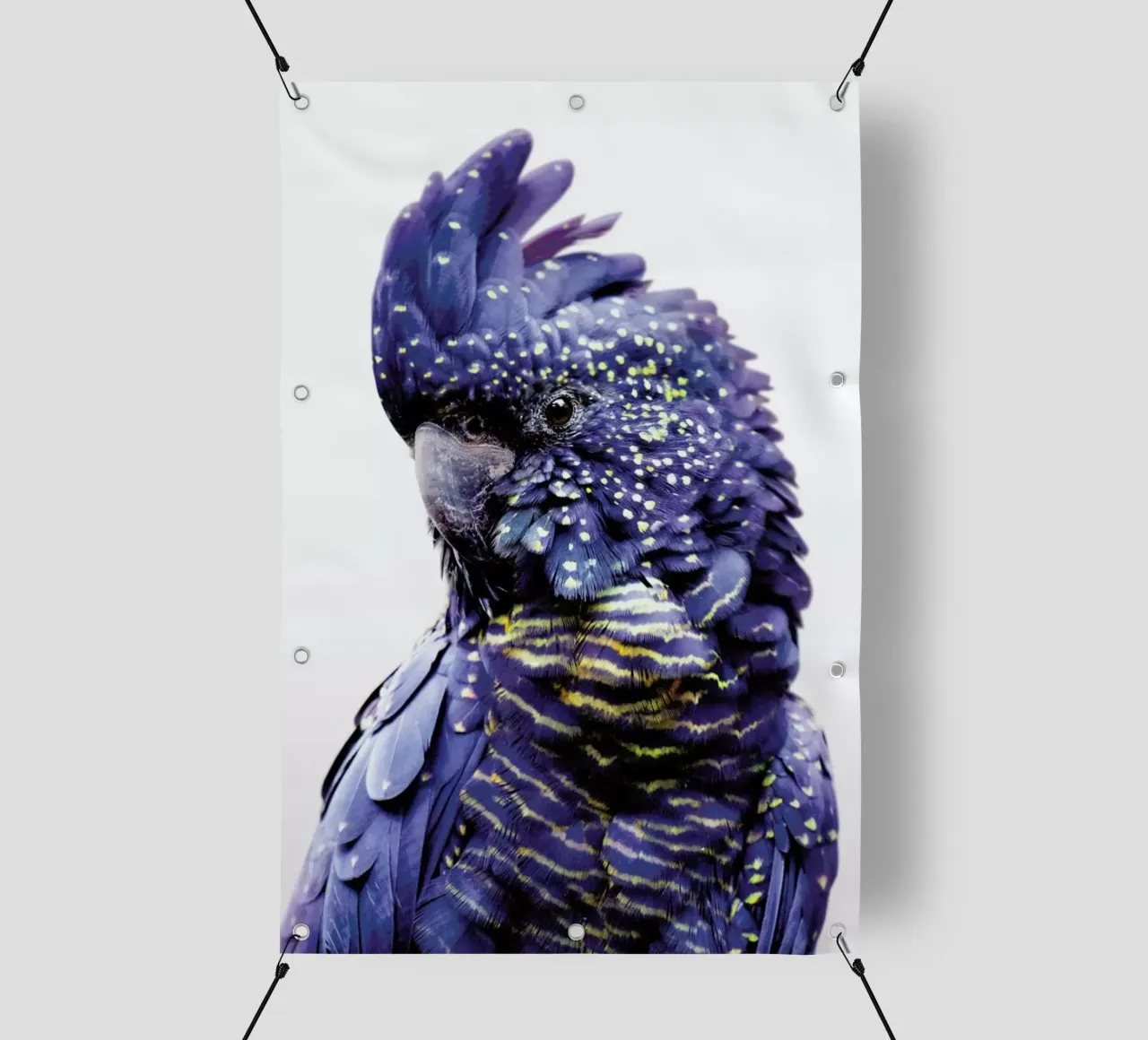 Print 451 telo in pvc da Lila & Lola