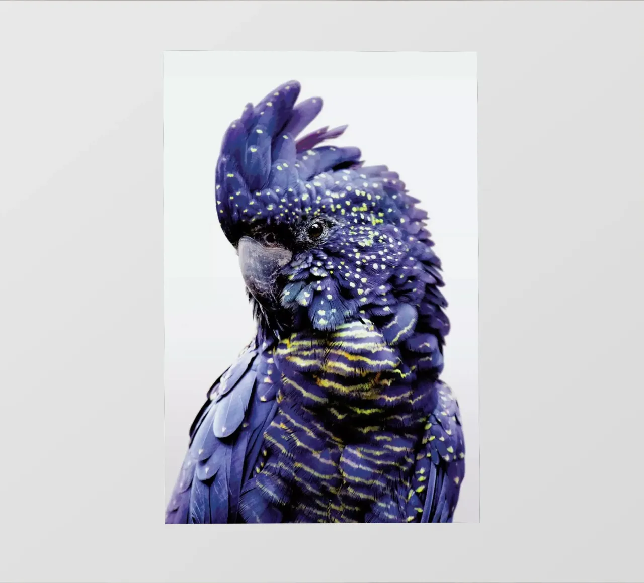 Print 451 telo in pvc da Lila & Lola