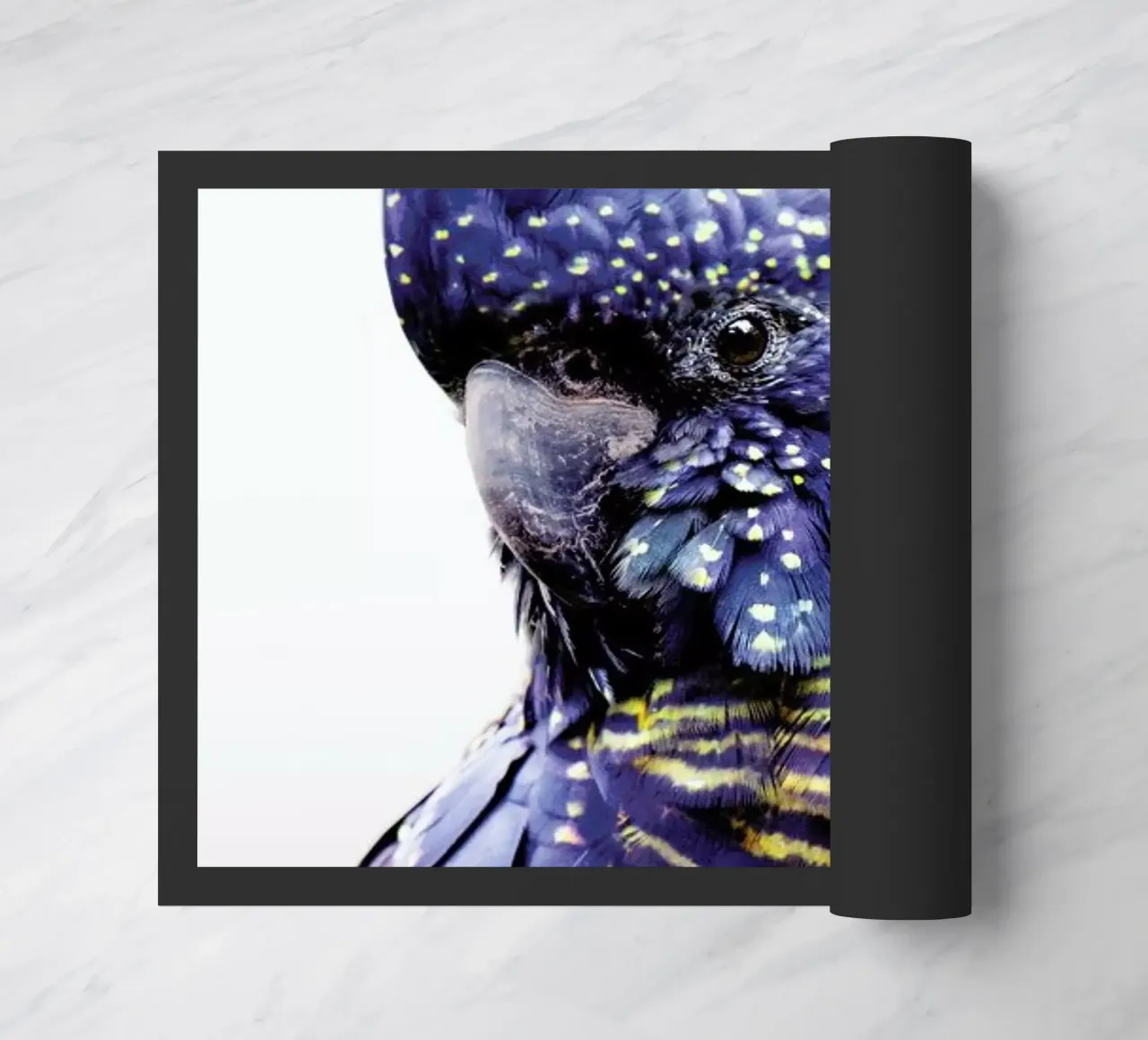 Print 451 zerbino da Lila & Lola