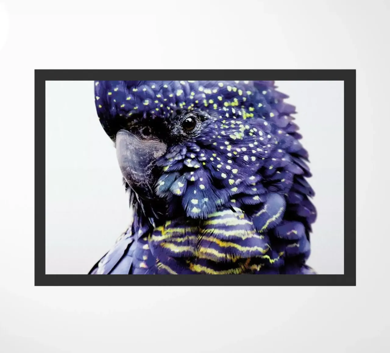 Print 451 zerbino da Lila & Lola