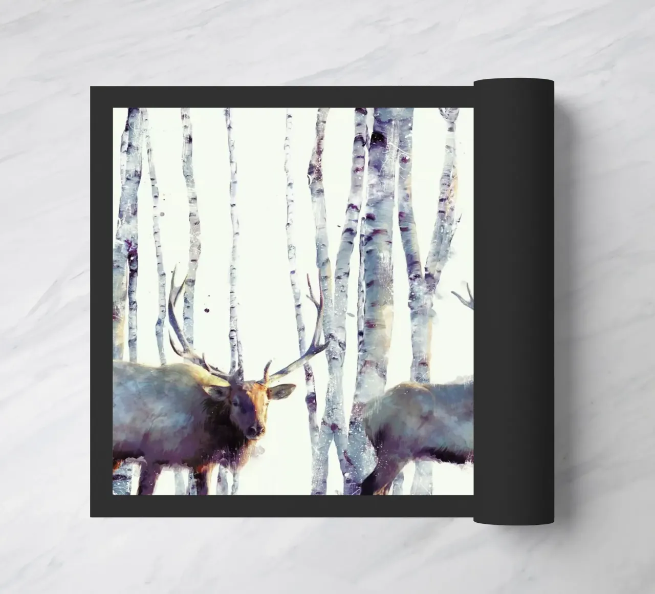 Follow zerbino da Amy Hamilton