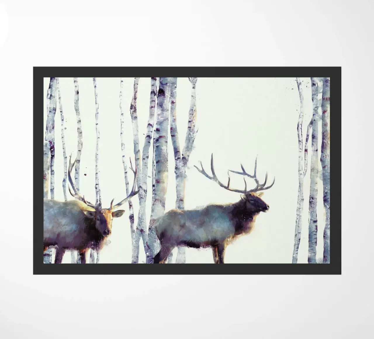 Follow zerbino da Amy Hamilton