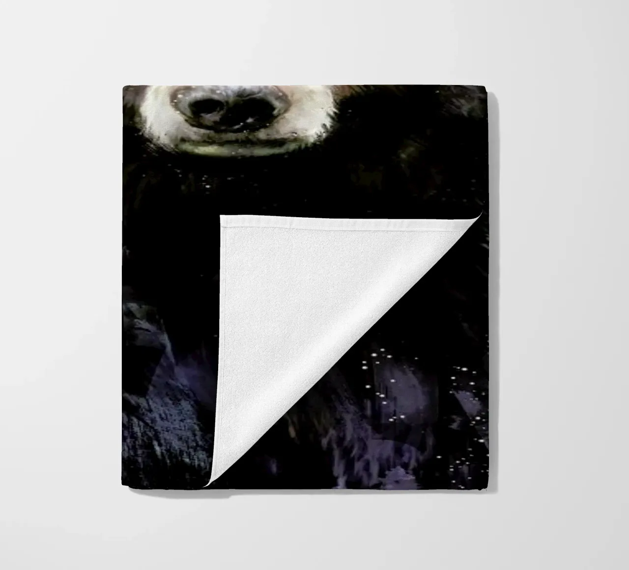 Black Bear telo mare da Amy Hamilton