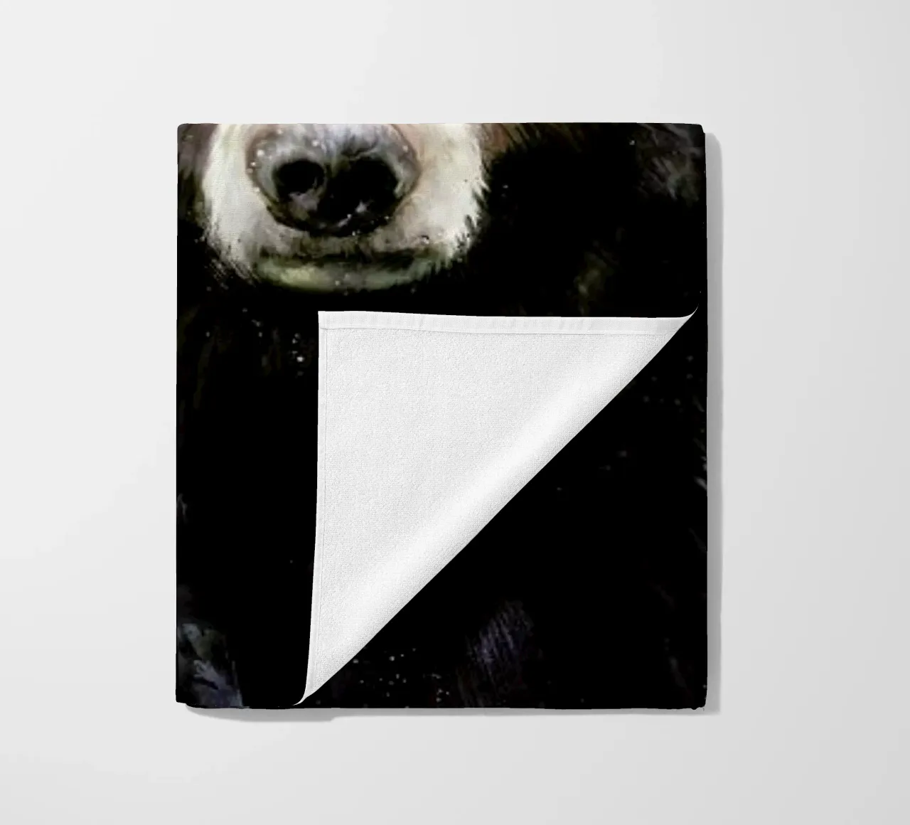 Black Bear telo mare da Amy Hamilton