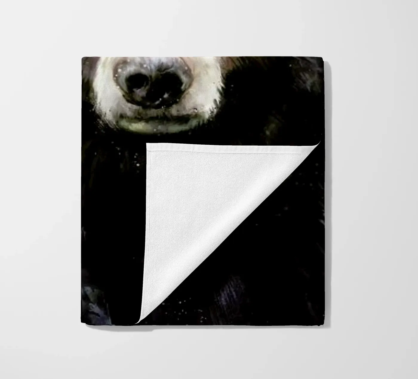 Black Bear telo mare da Amy Hamilton