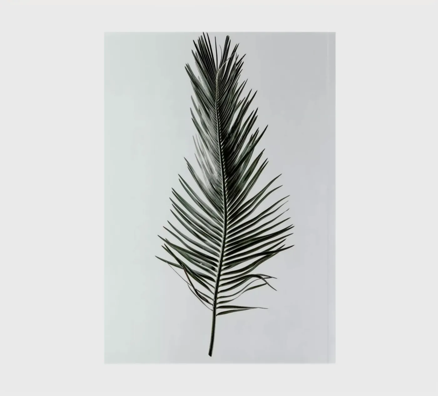 Leaf Study 3 notebook by Shot By Clint
