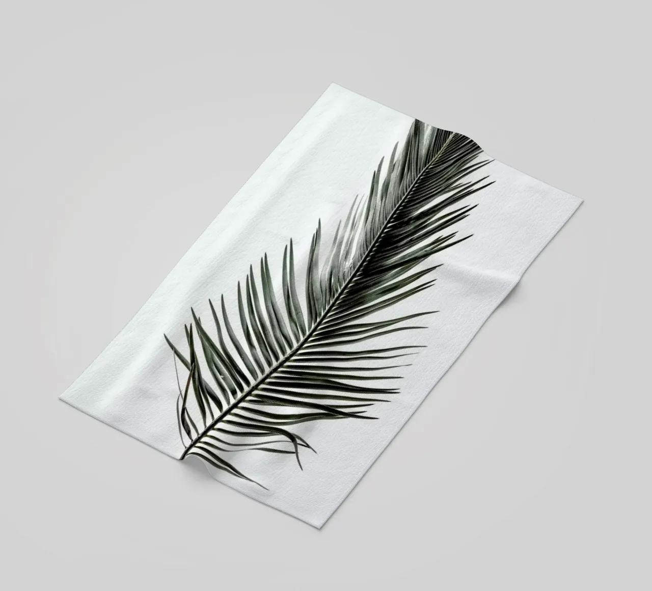 Leaf Study 3 telo mare da Shot By Clint