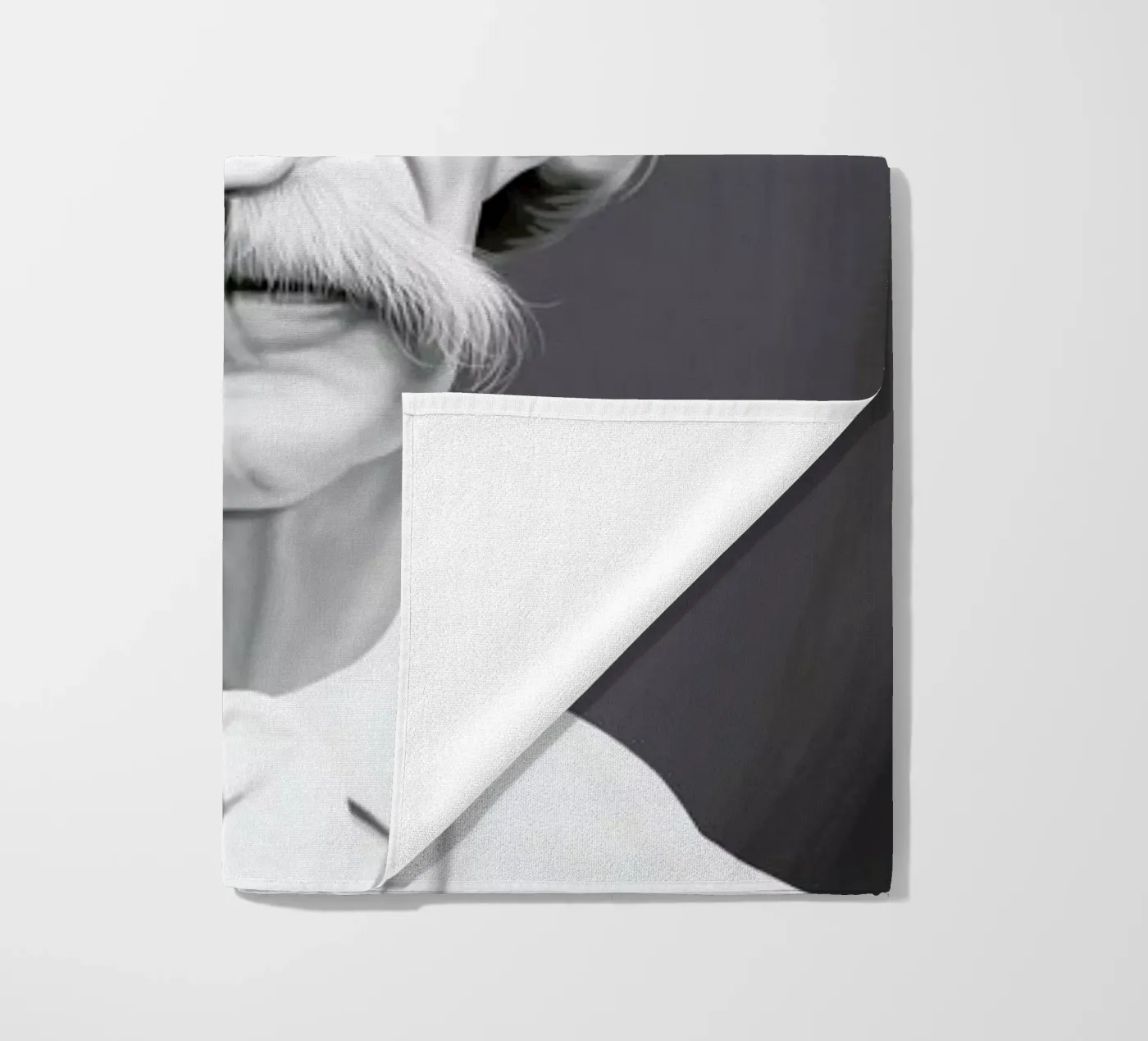 Mark Twain telo mare da Rob Art | Illustration