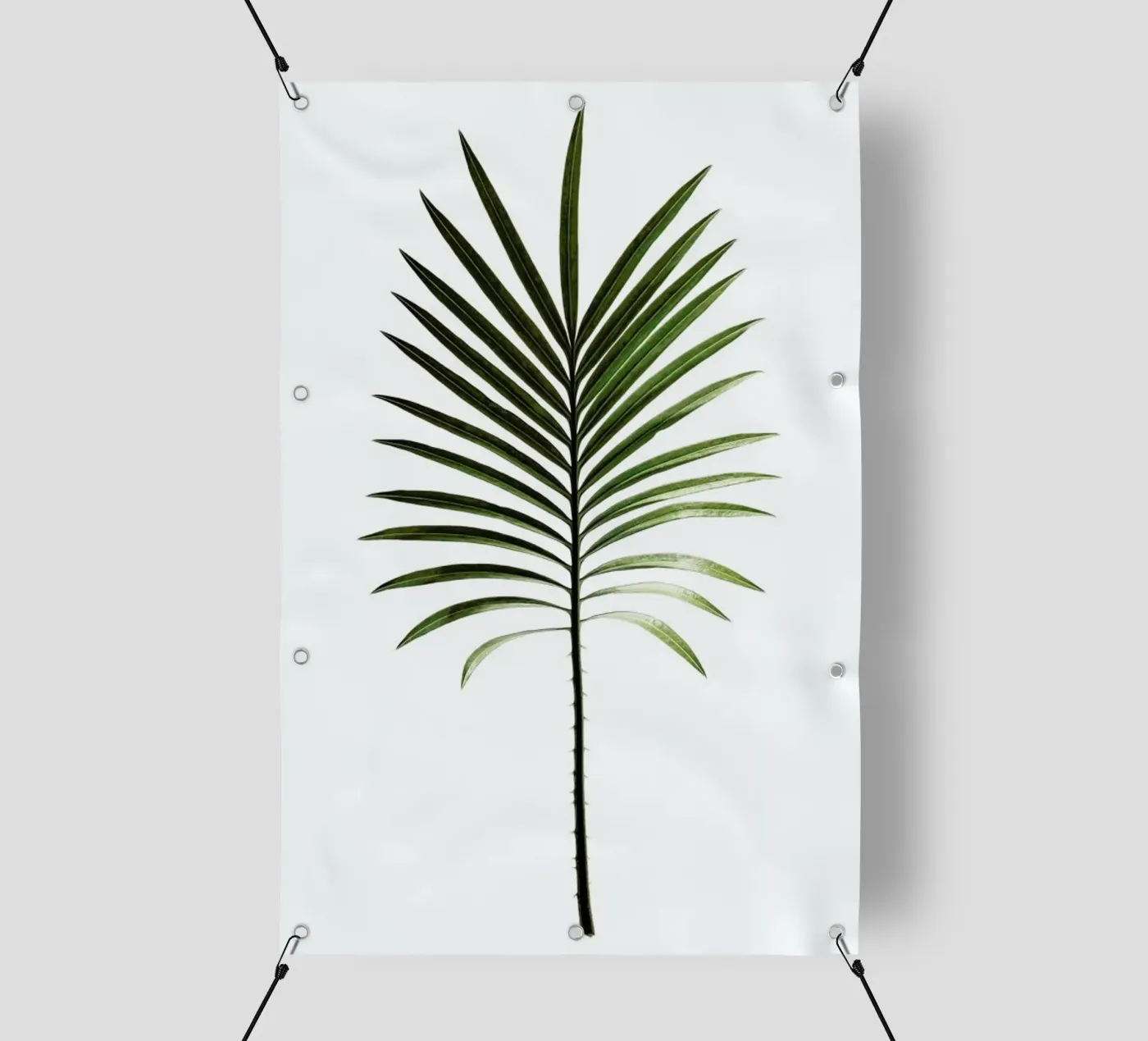 Leaf Study 4 PVC Plane von Shot By Clint