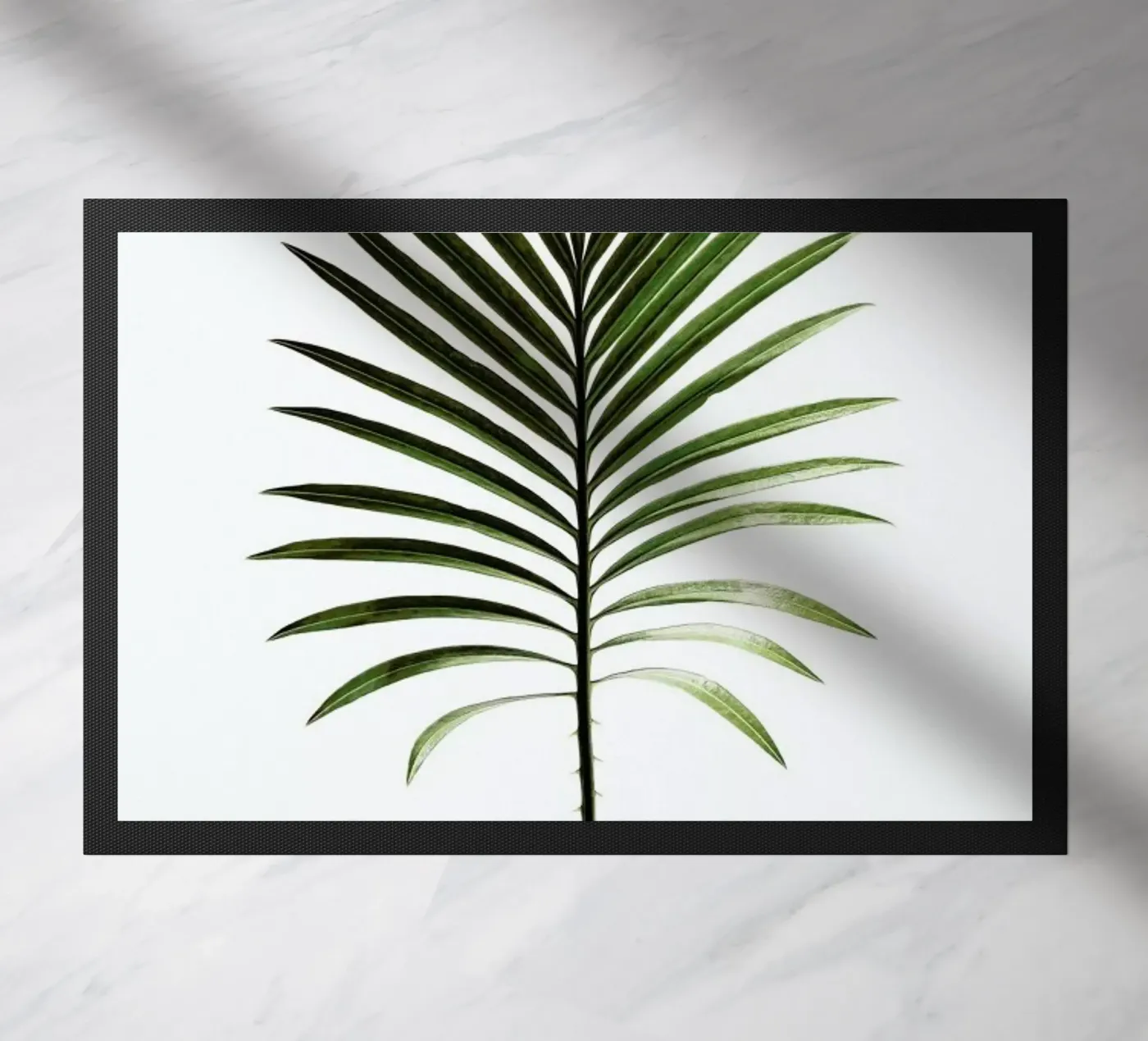 Leaf Study 4 zerbino da Shot By Clint