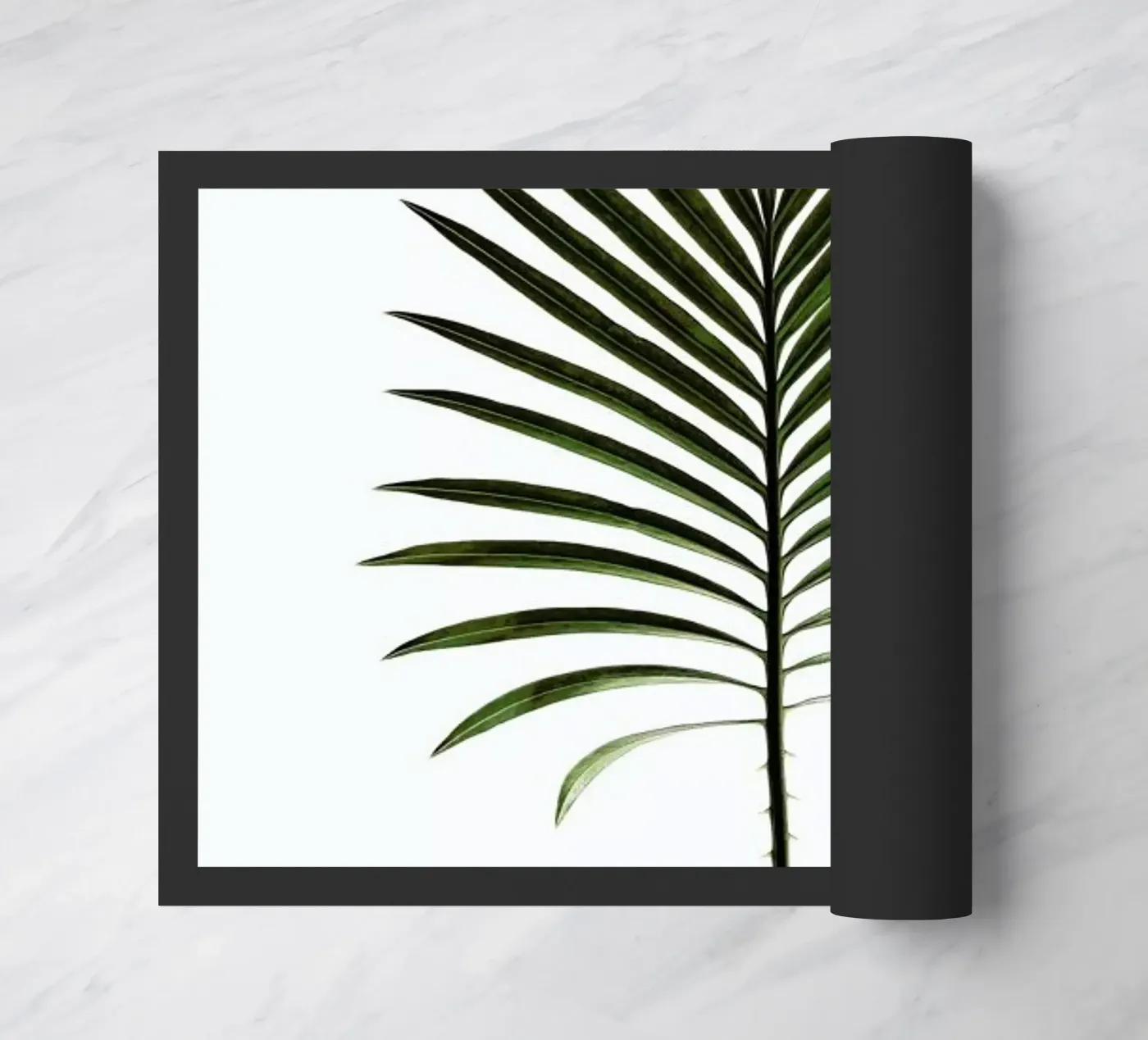 Leaf Study 4 zerbino da Shot By Clint