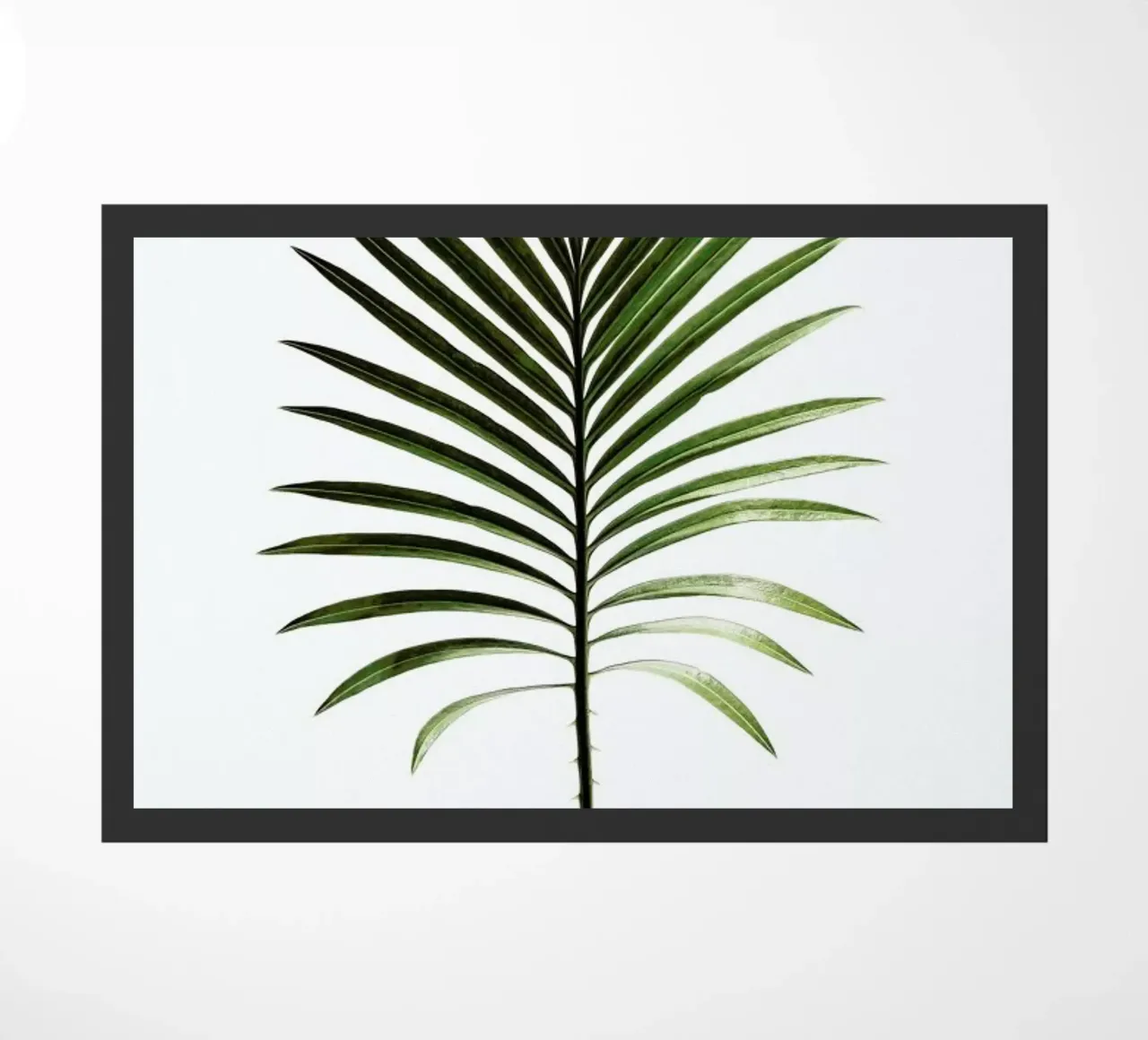 Leaf Study 4 doormat by Shot By Clint