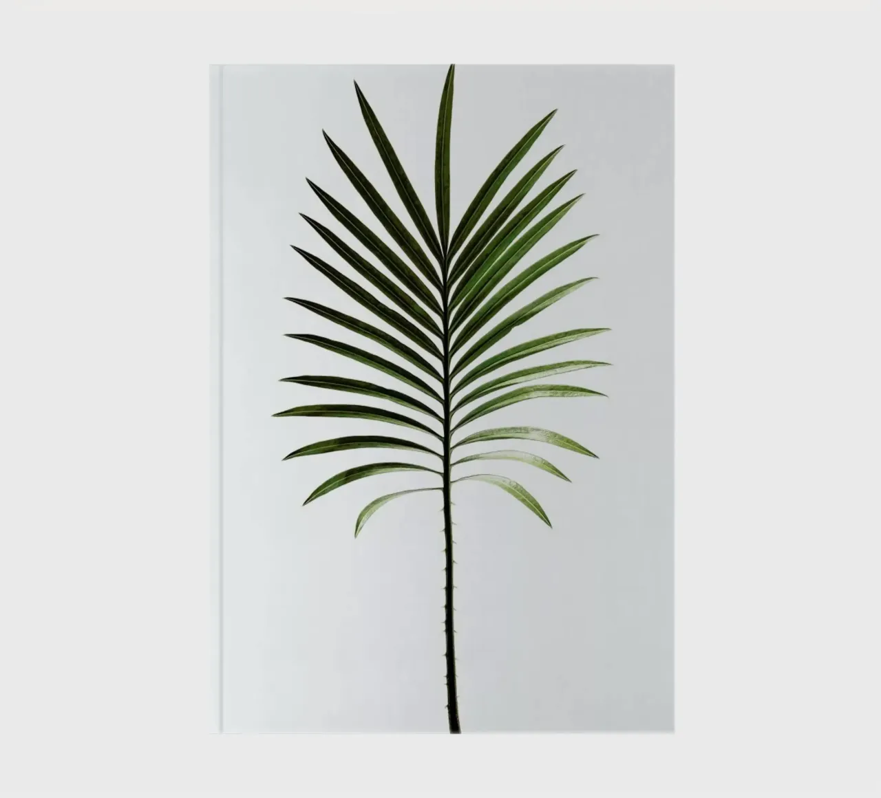 Leaf Study 4 notebook by Shot By Clint