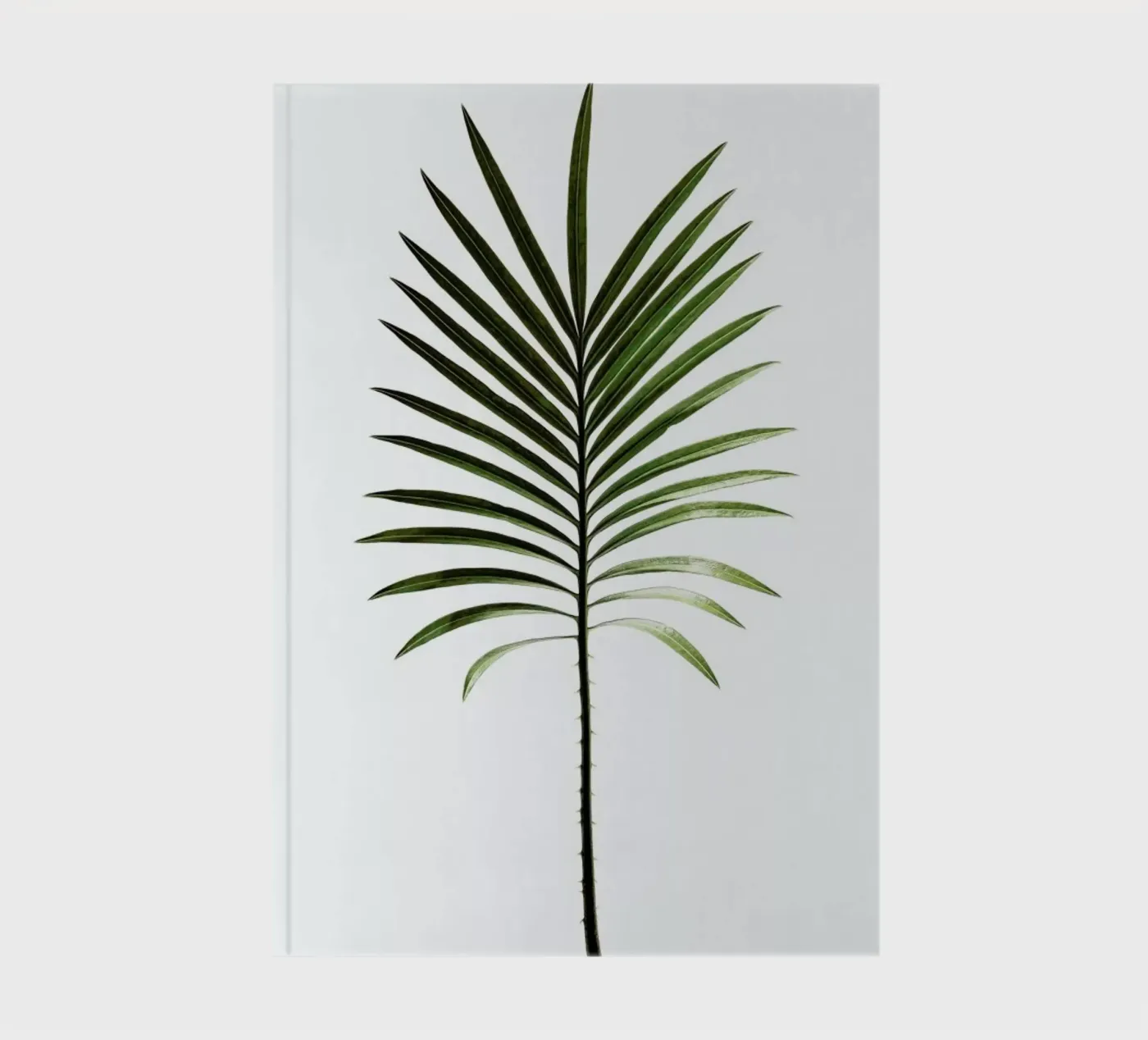 Leaf Study 4 carnet de Shot By Clint