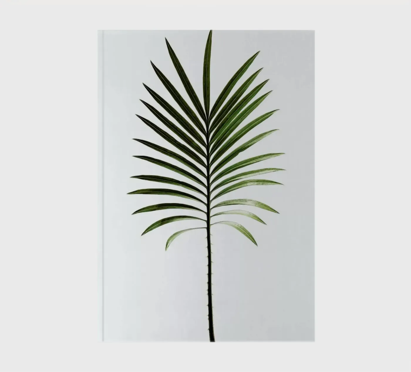 Leaf Study 4 notitieboek van Shot By Clint