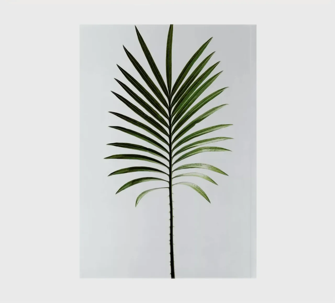 Leaf Study 4 notebook by Shot By Clint