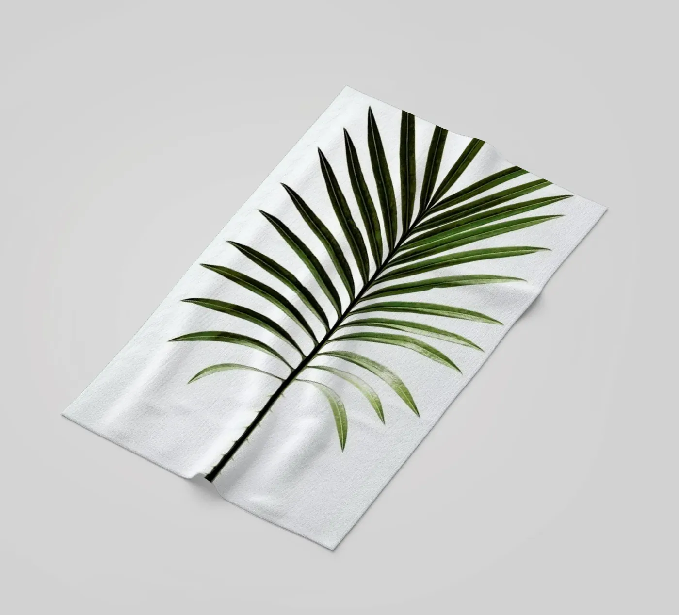 Leaf Study 4 beach towel by Shot By Clint