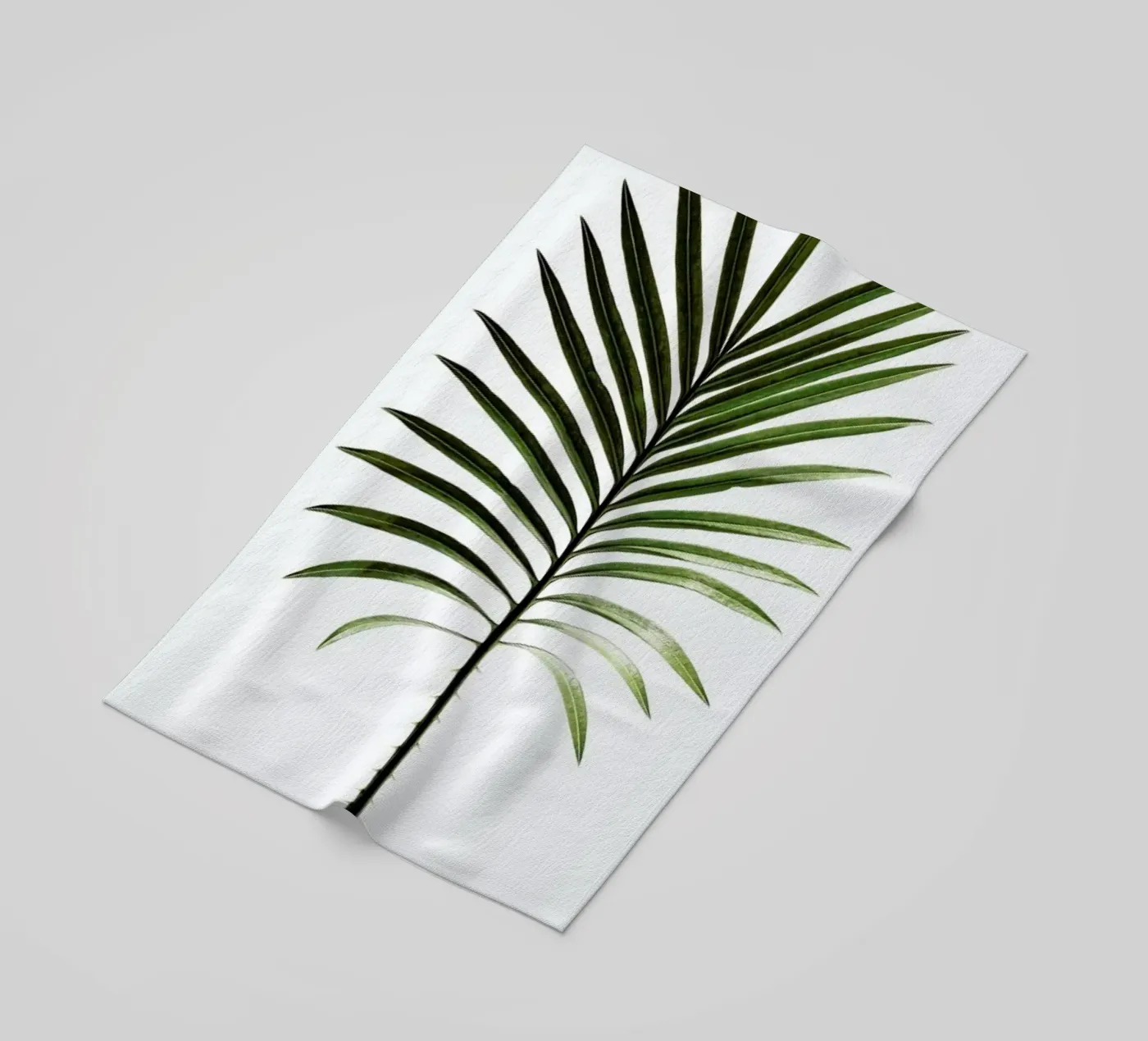 Leaf Study 4 telo mare da Shot By Clint