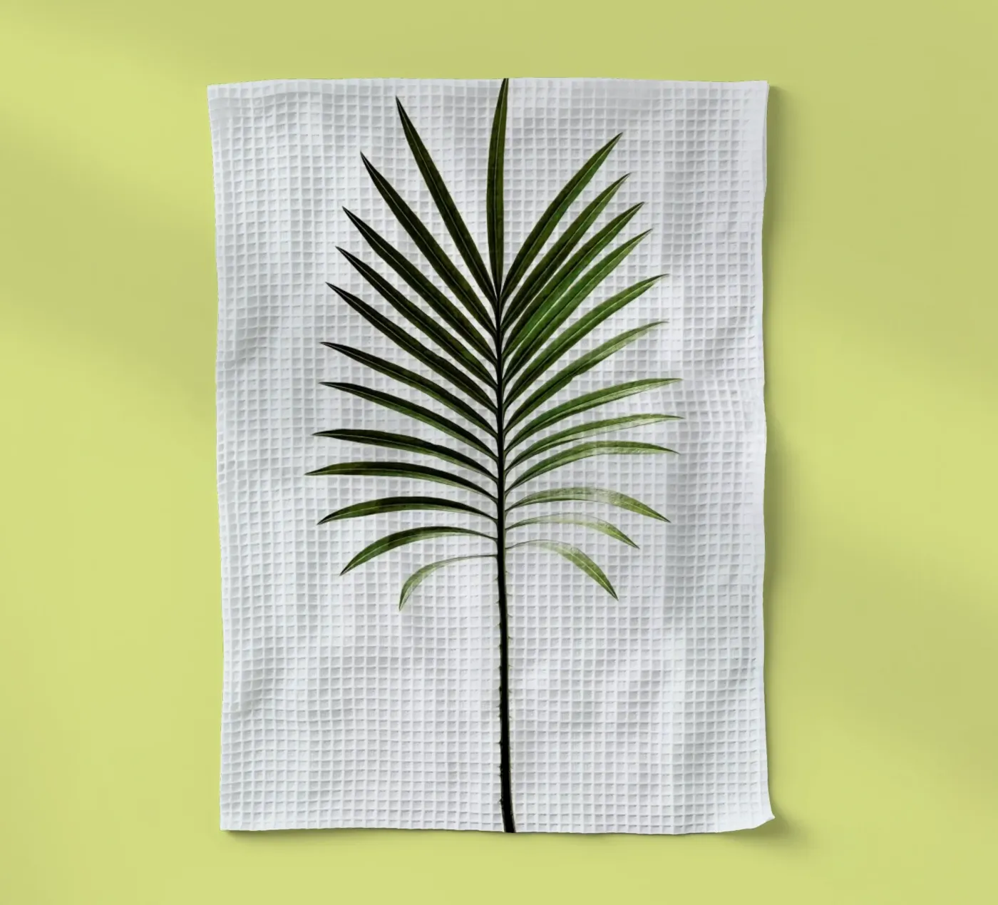 Leaf Study 4 torchon de Shot By Clint