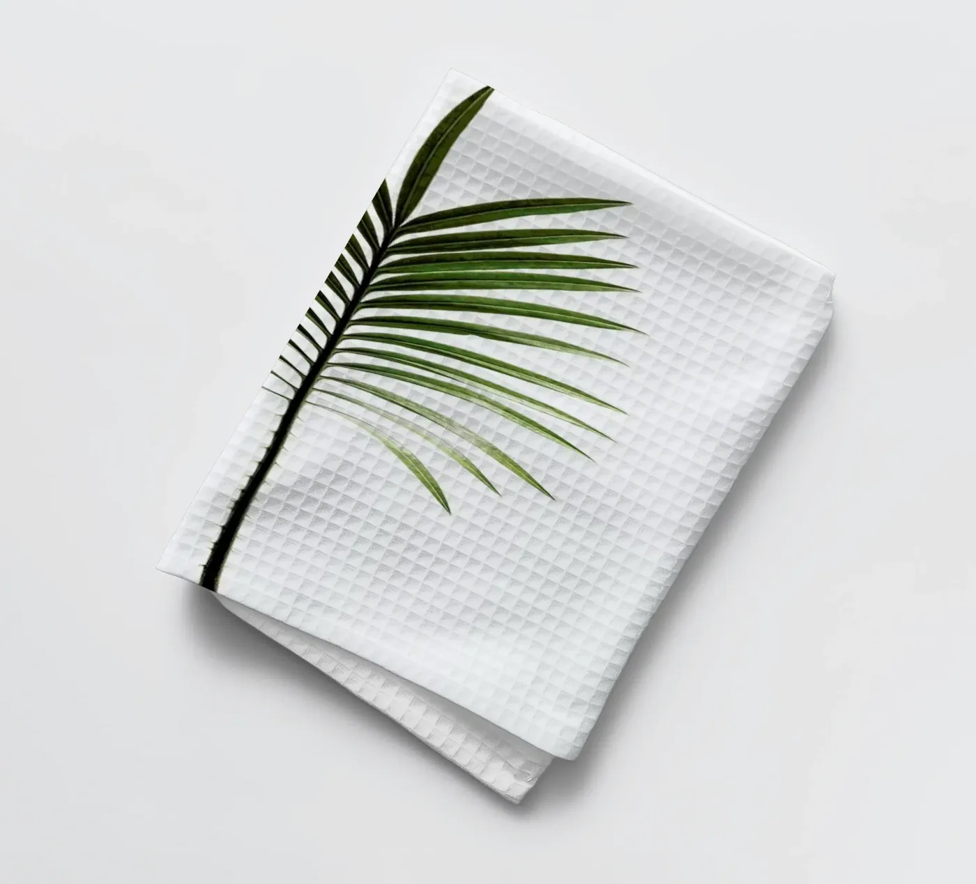 Leaf Study 4 torchon de Shot By Clint