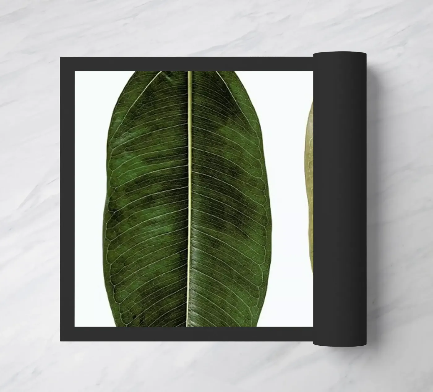 Leaf Study 5 doormat by Shot By Clint