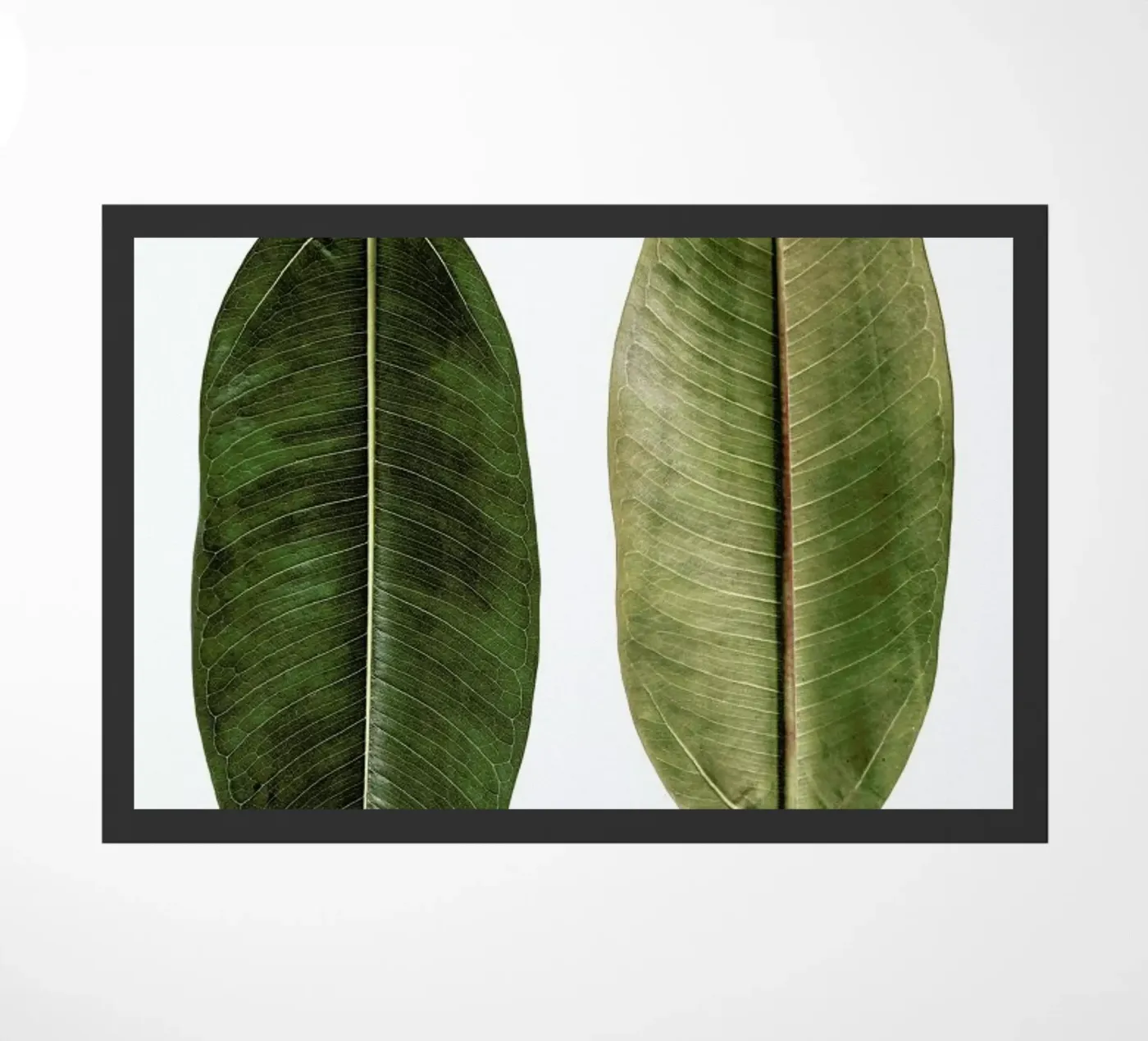 Leaf Study 5 doormat by Shot By Clint