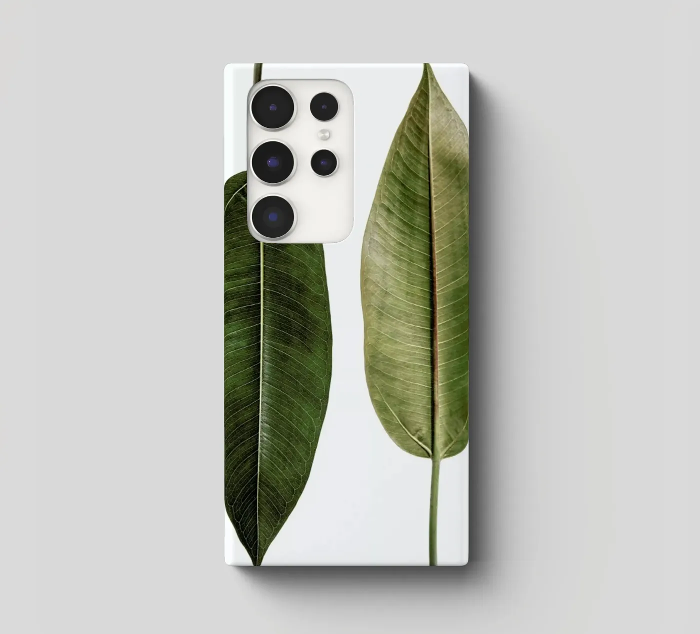 Leaf Study 5 cover samsung da Shot By Clint