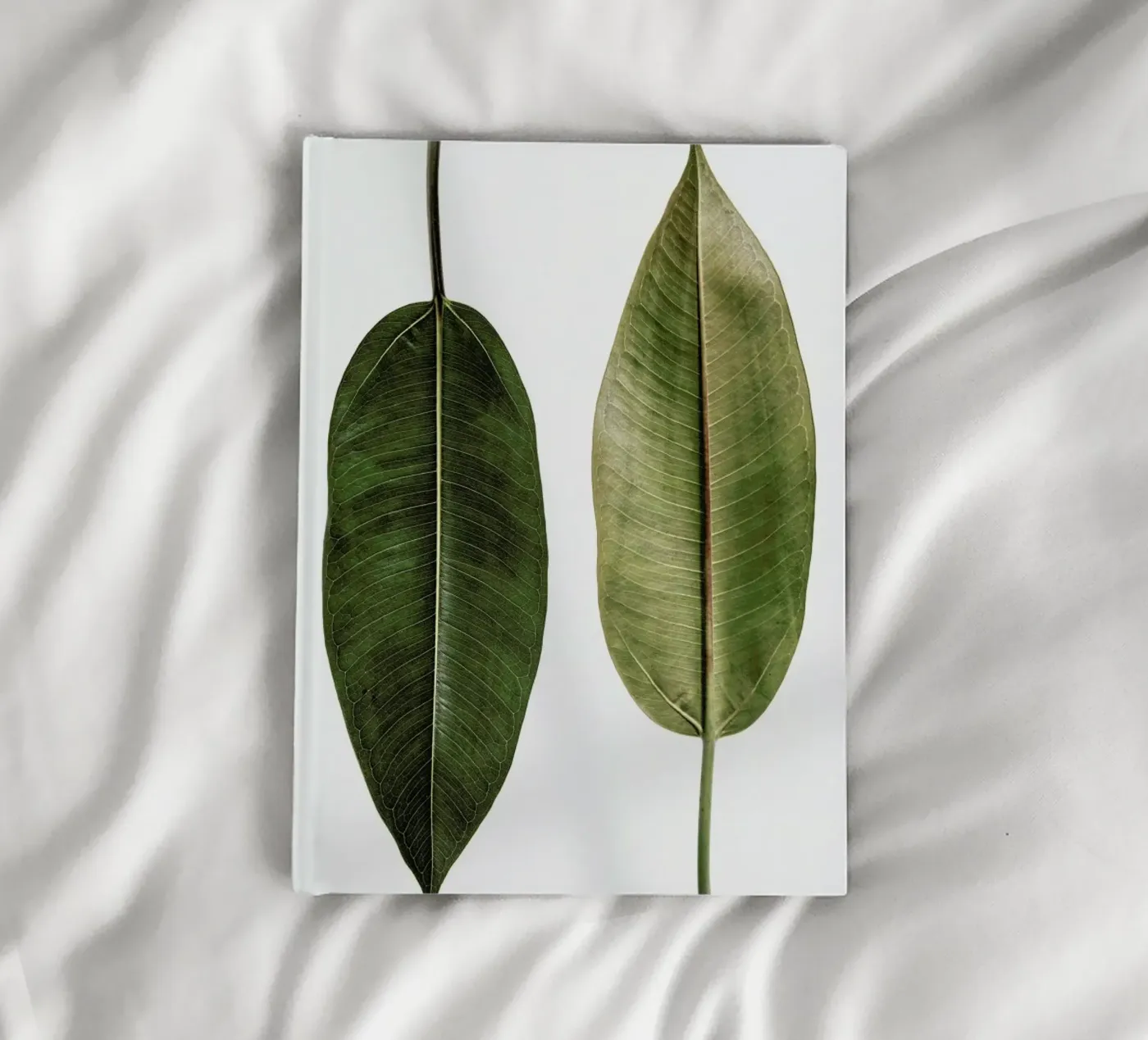 Leaf Study 5 notebook by Shot By Clint