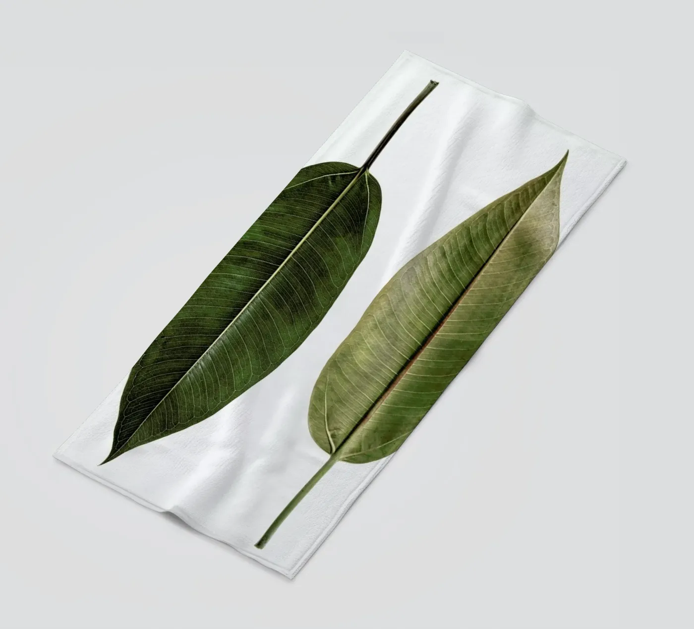 Leaf Study 5 telo mare da Shot By Clint