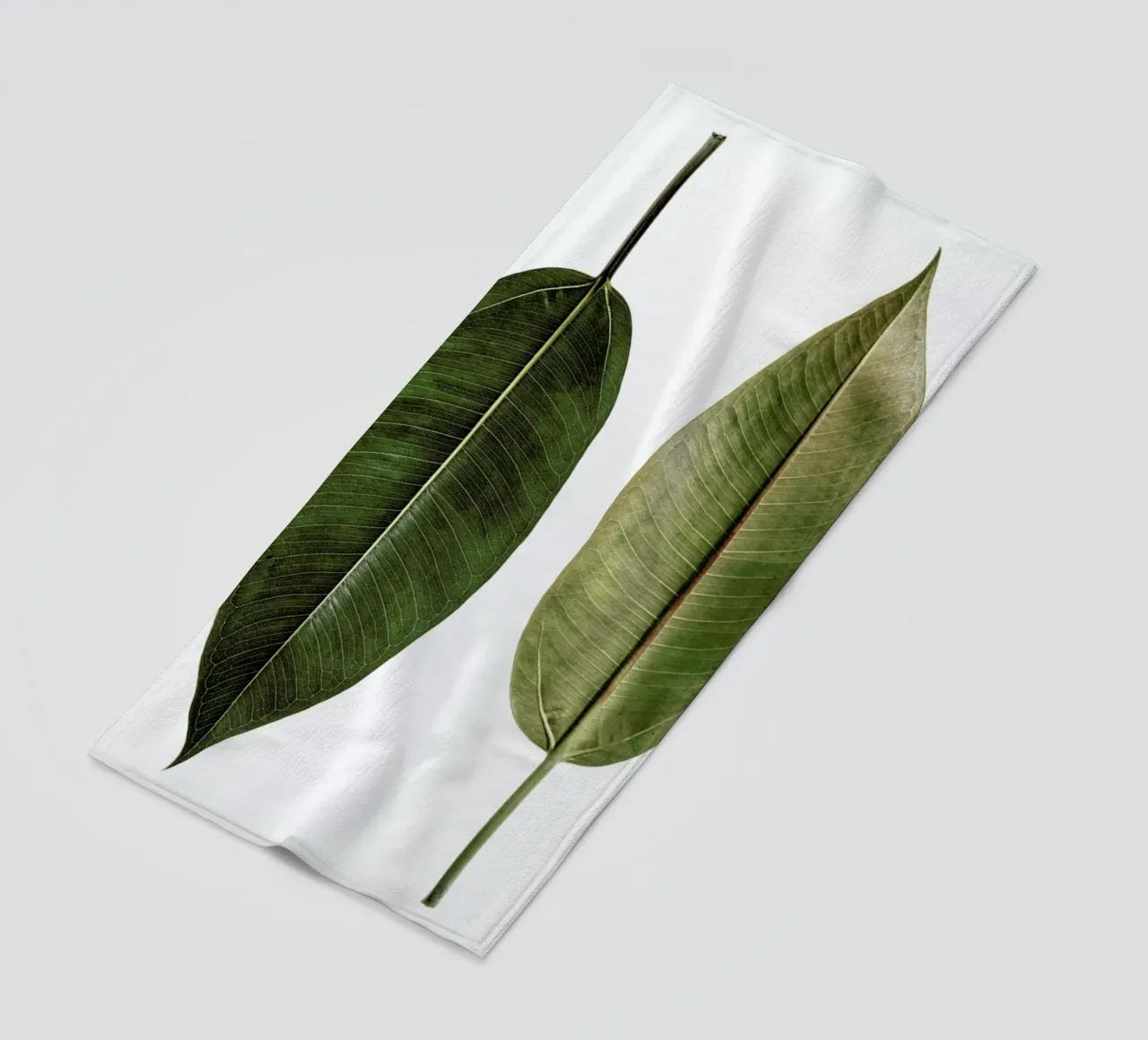 Leaf Study 5 telo mare da Shot By Clint