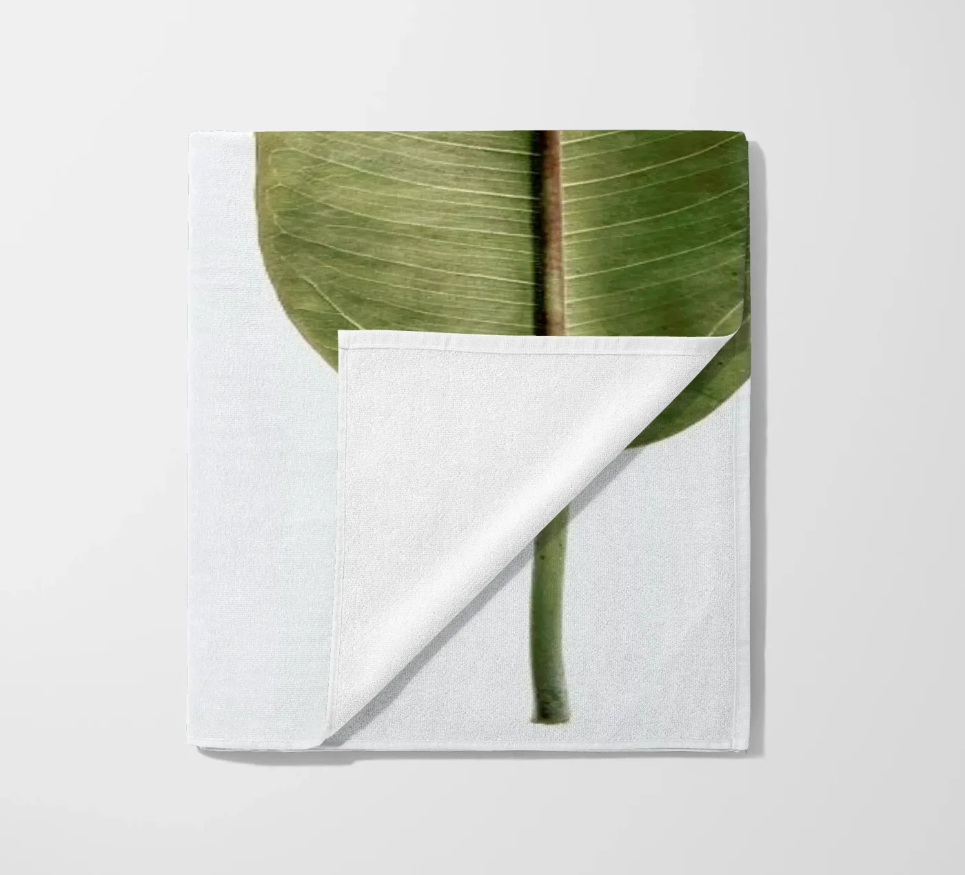 Leaf Study 5 telo mare da Shot By Clint