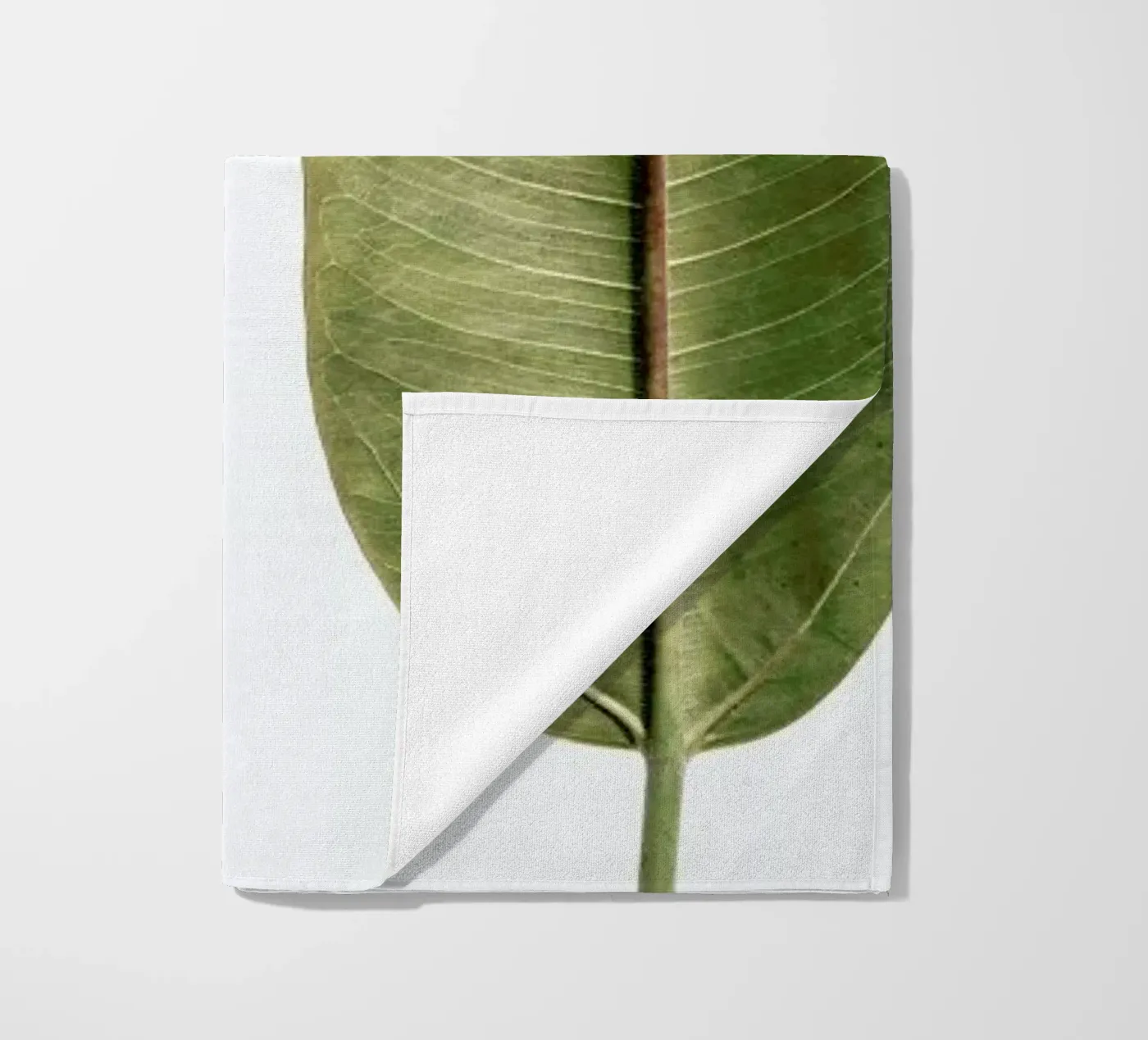 Leaf Study 5 telo mare da Shot By Clint